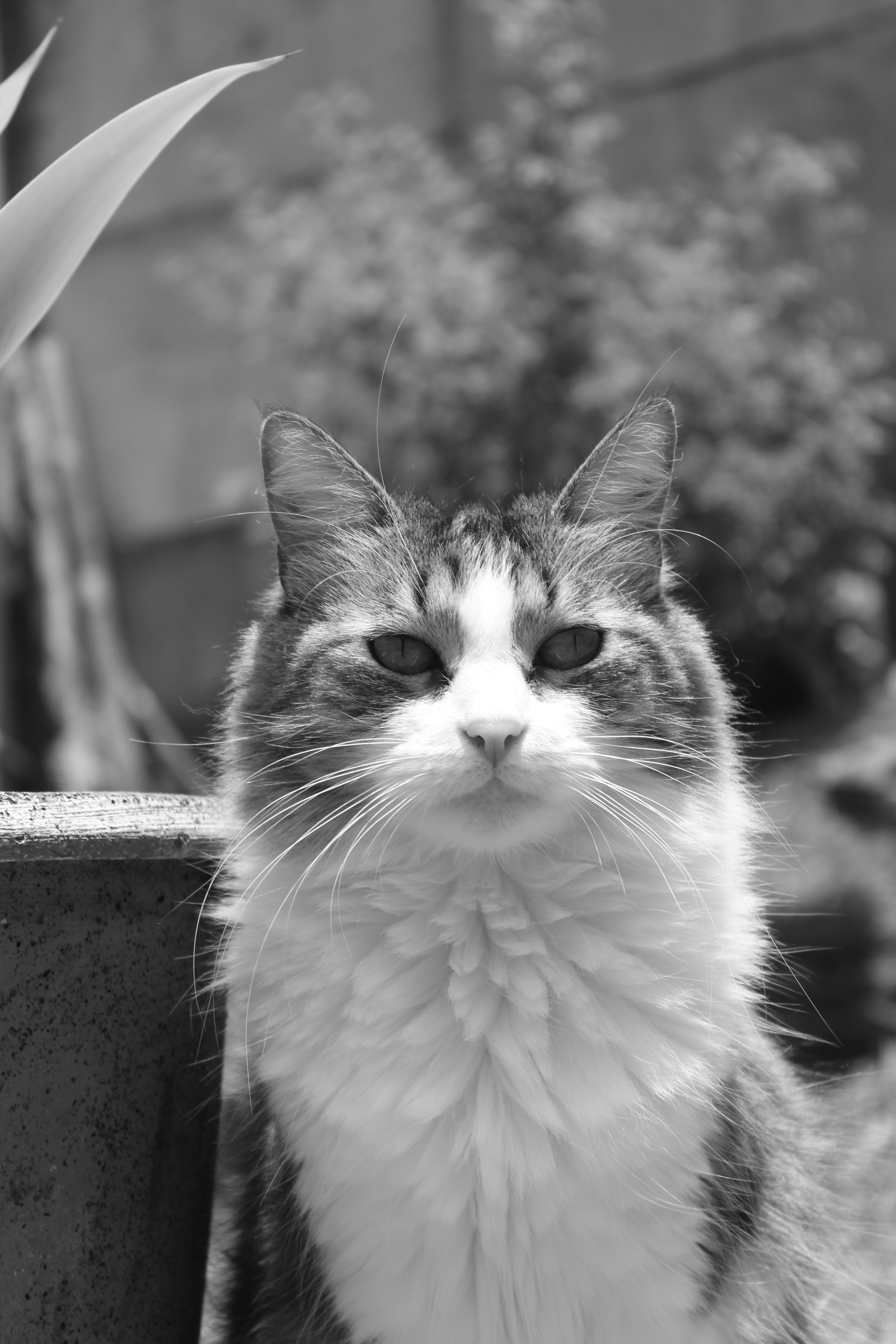 Photo by camila_baechli