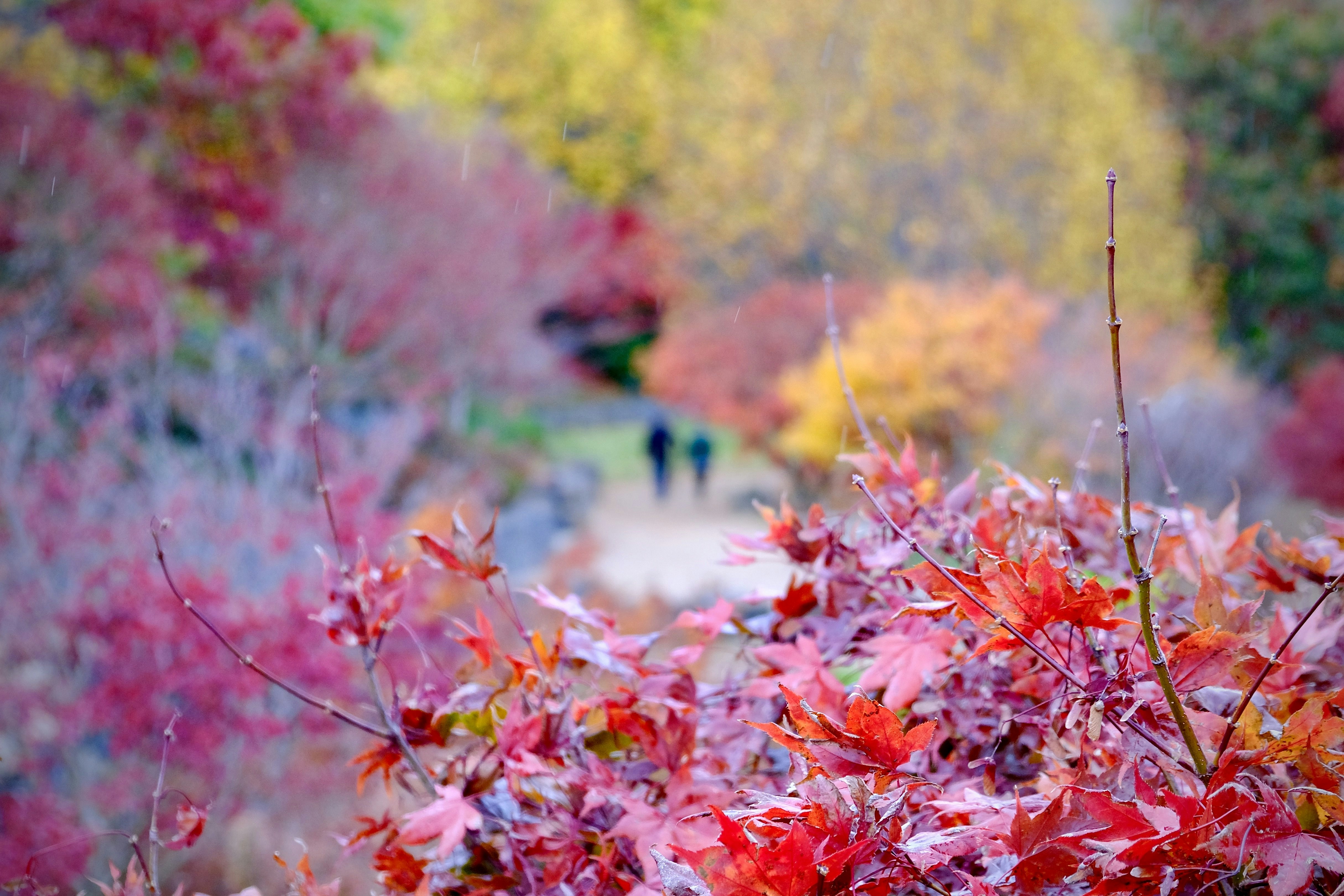 Photo by naomiliu1020