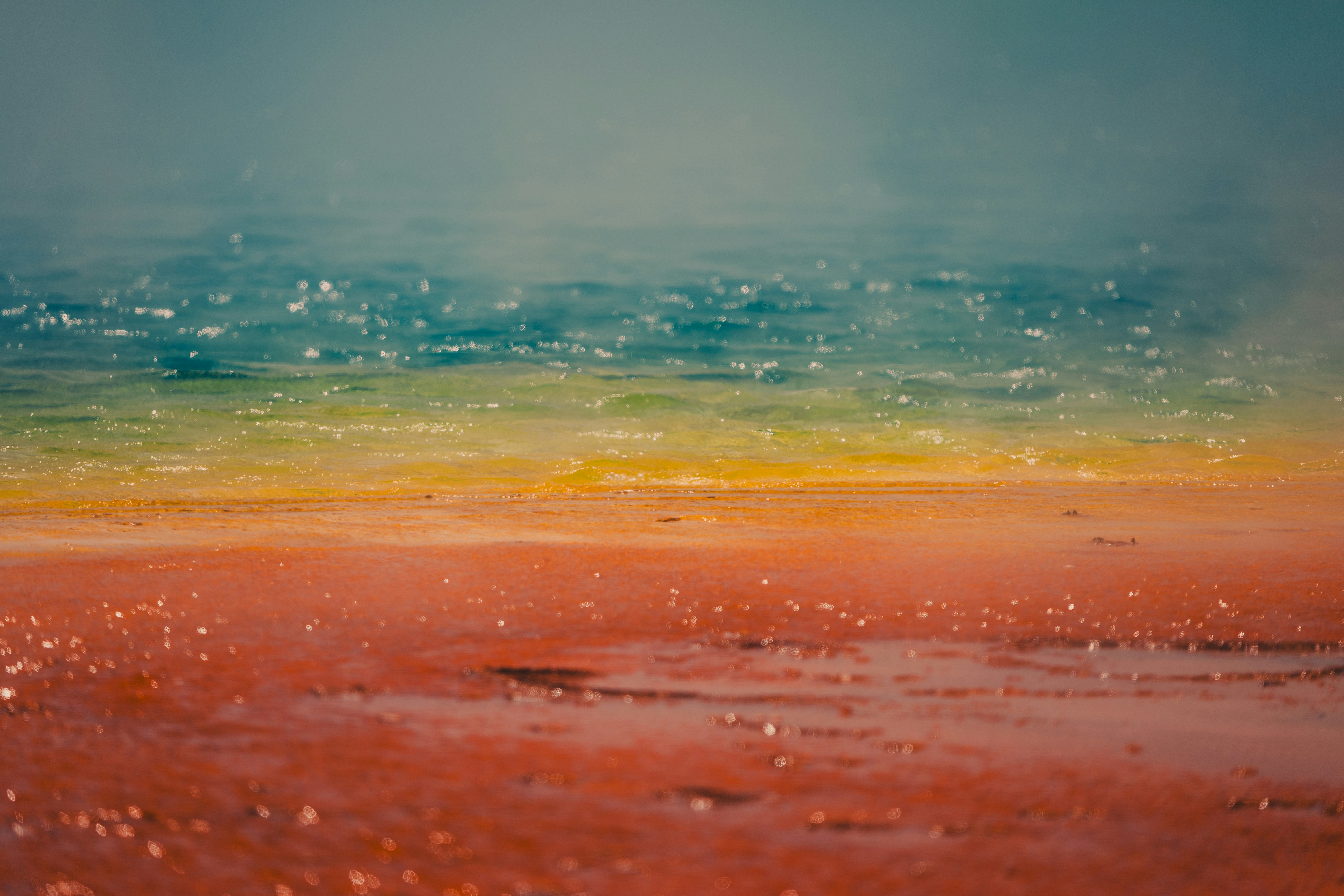 Photo by govizlora