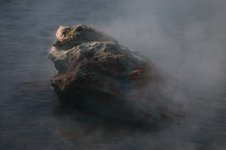 A rock in the middle of a body of water