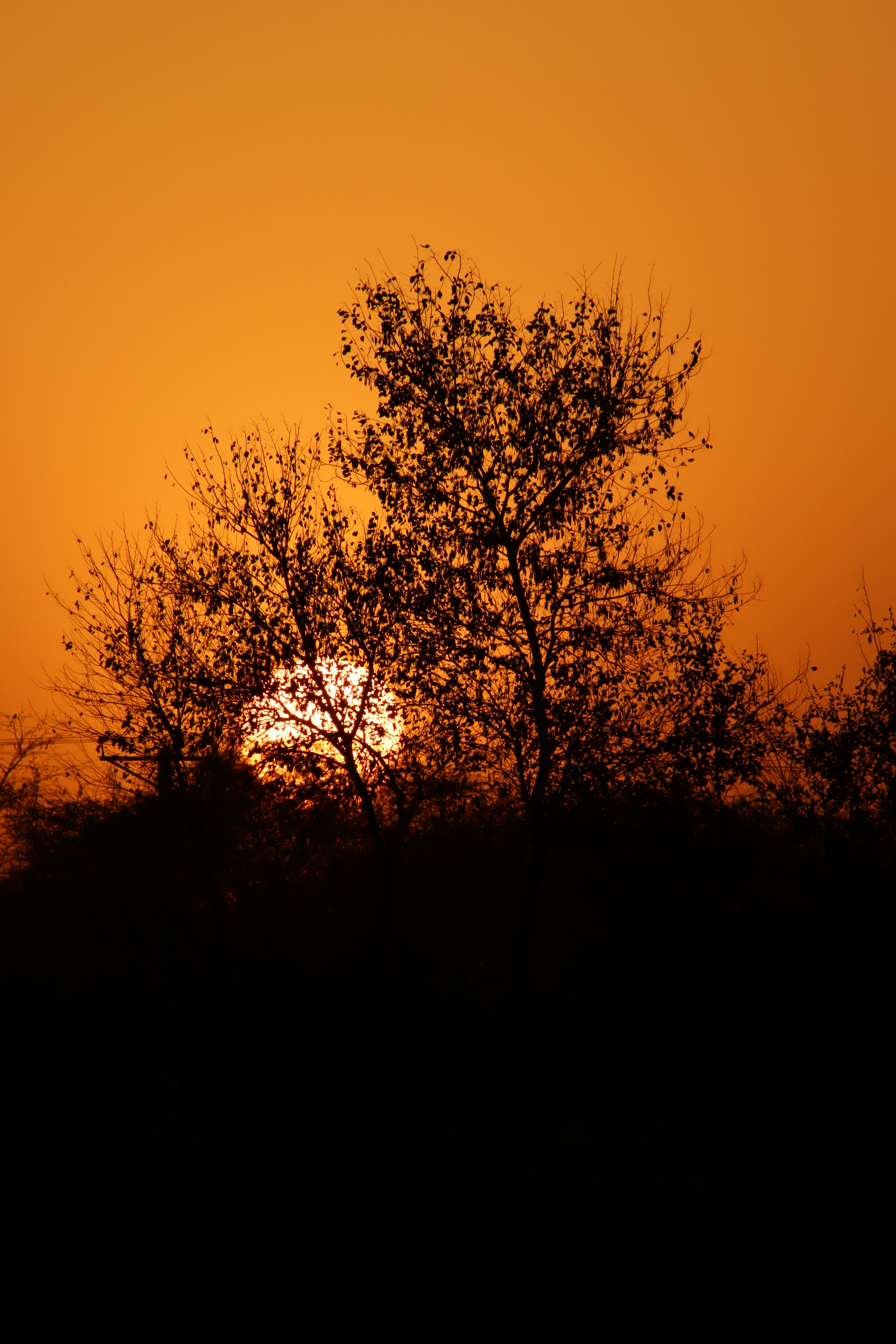 Photo by drphotographer152