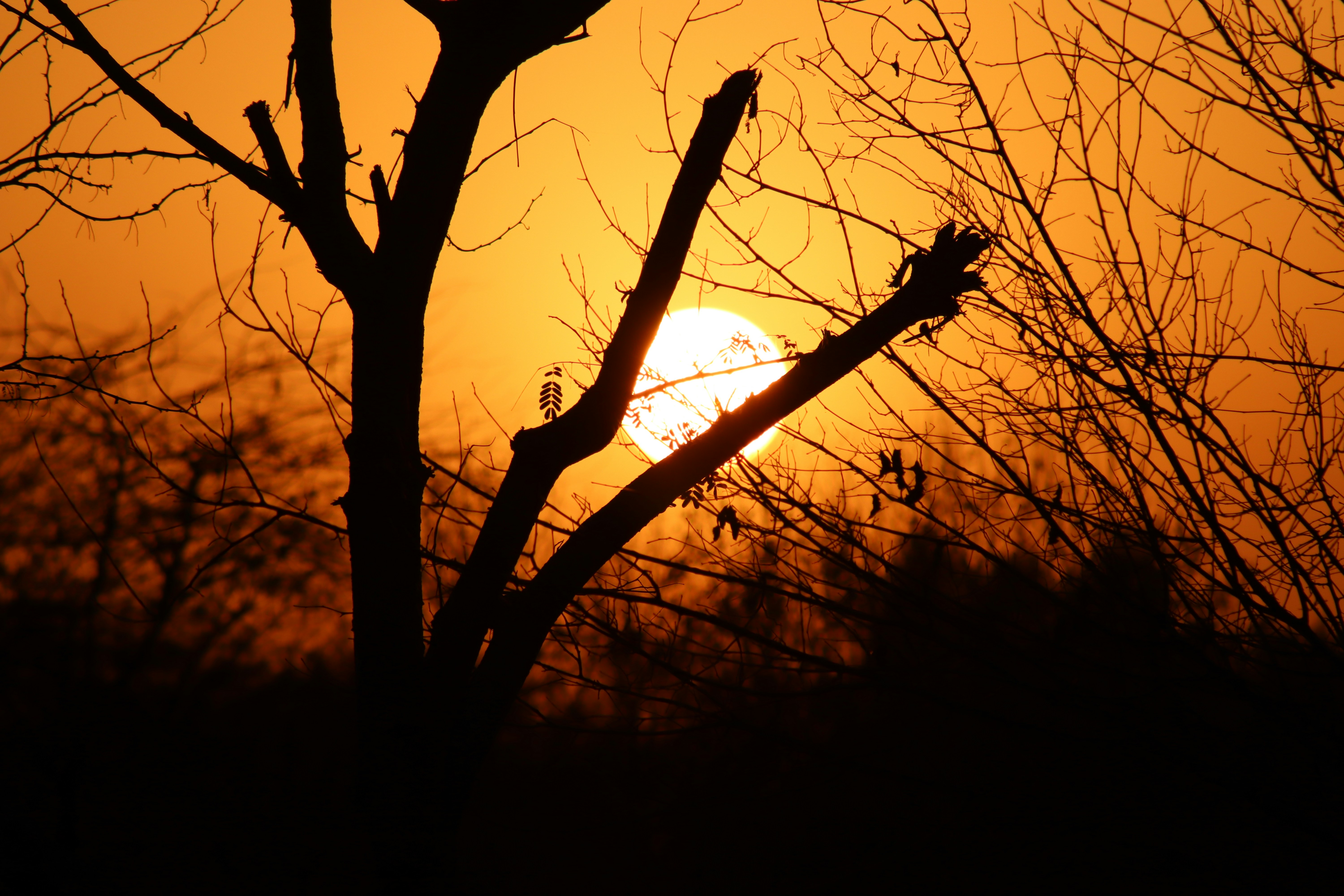 Photo by drphotographer152