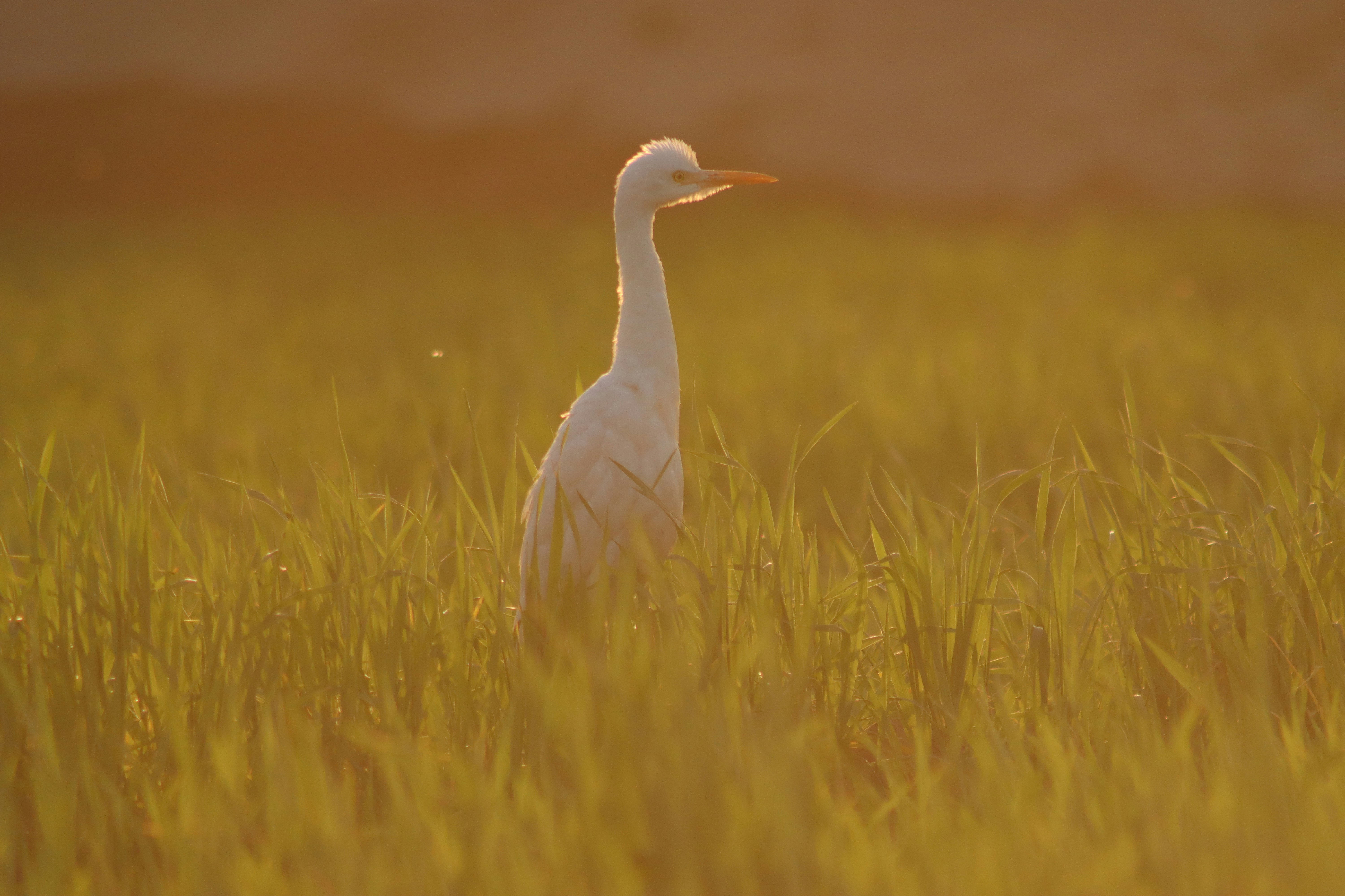 Photo by drphotographer152