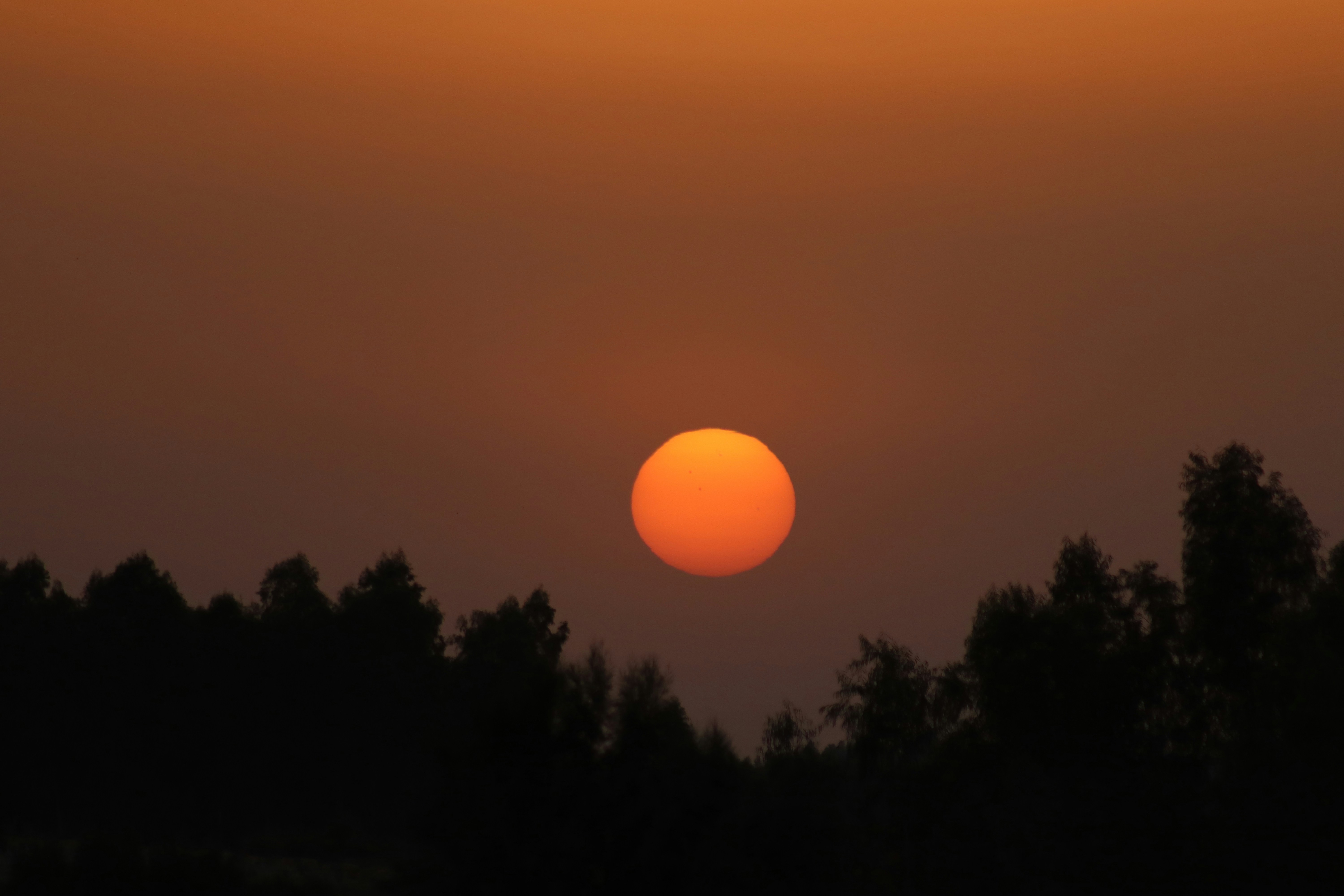 Photo by drphotographer152