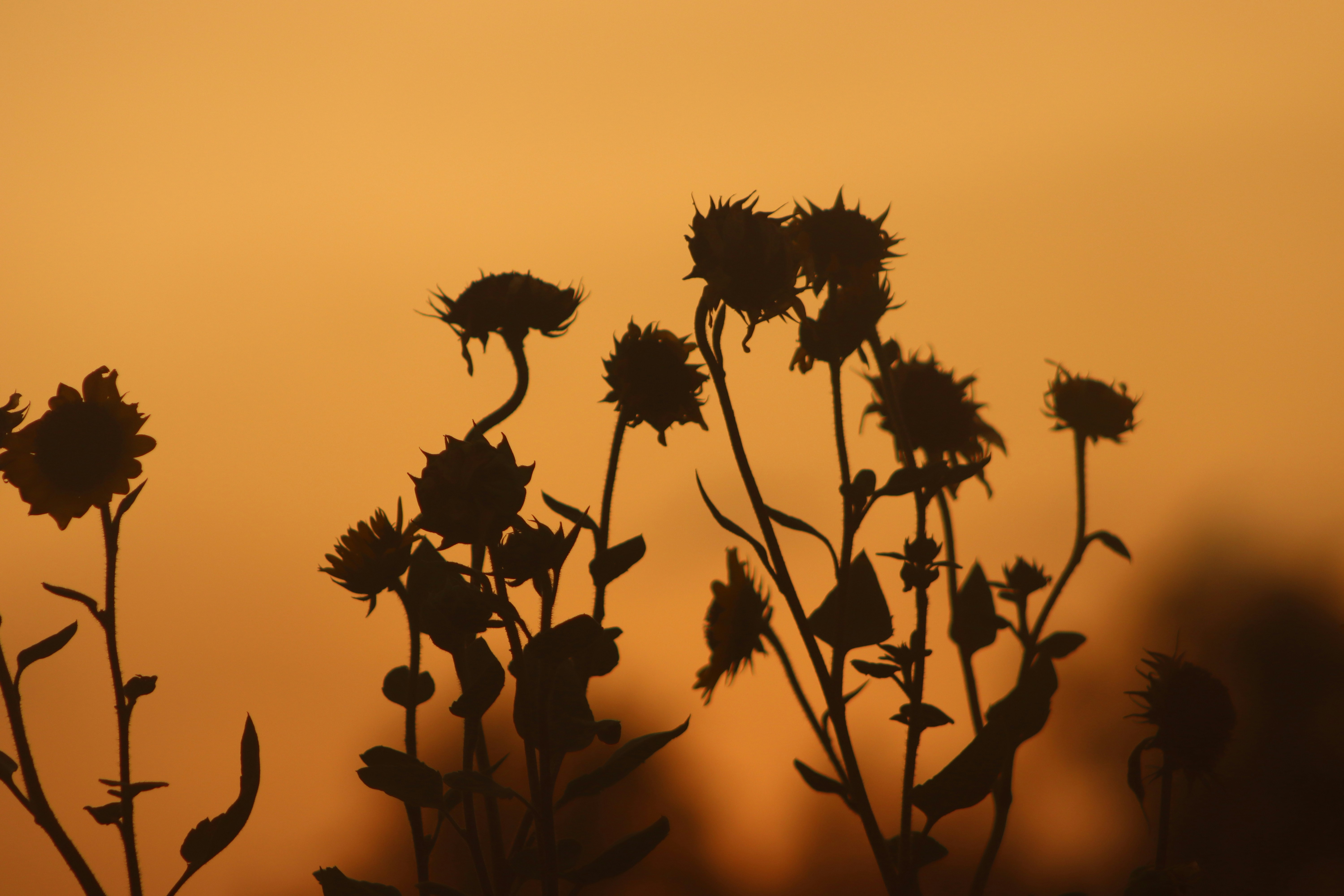 Photo by drphotographer152