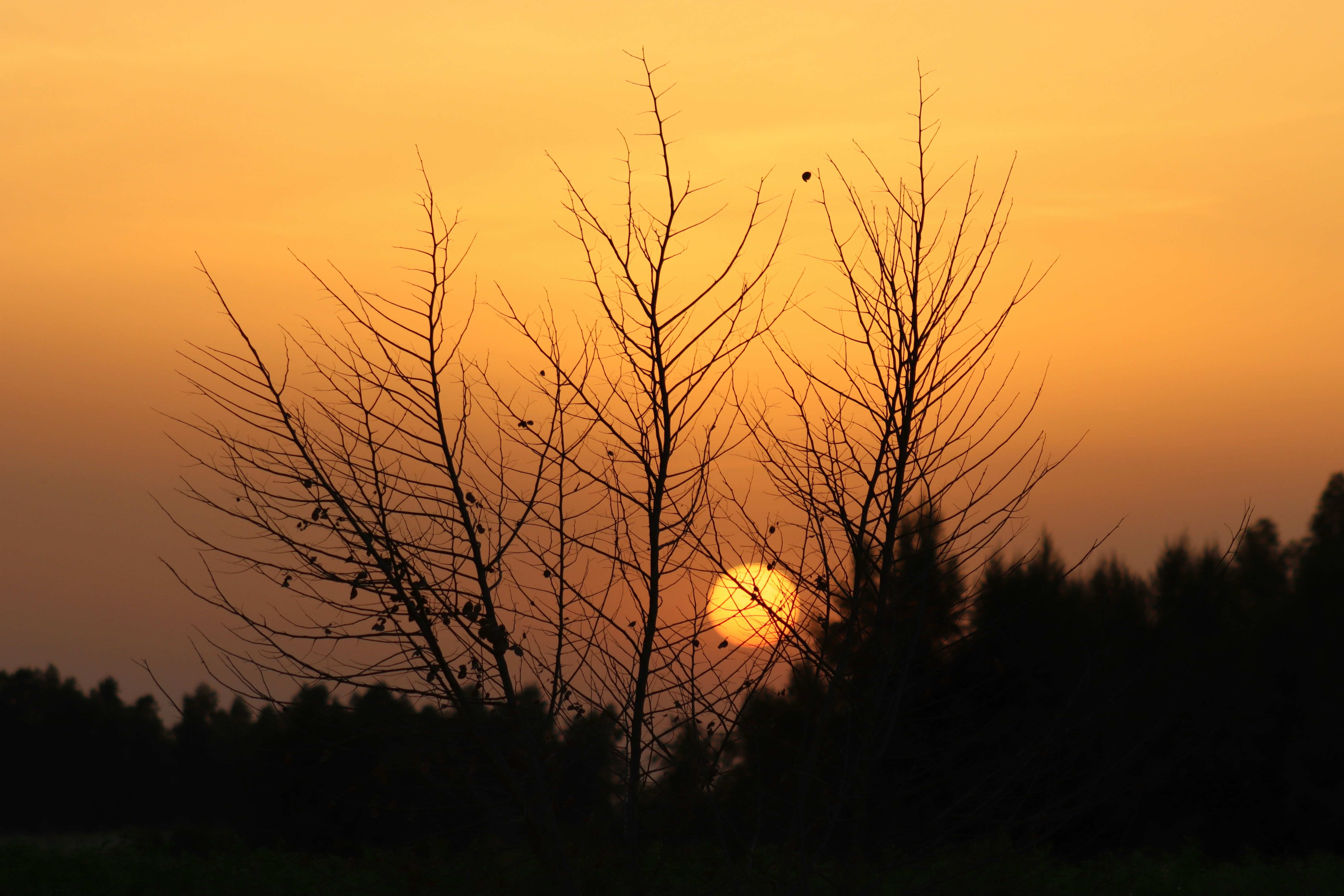 Photo by drphotographer152