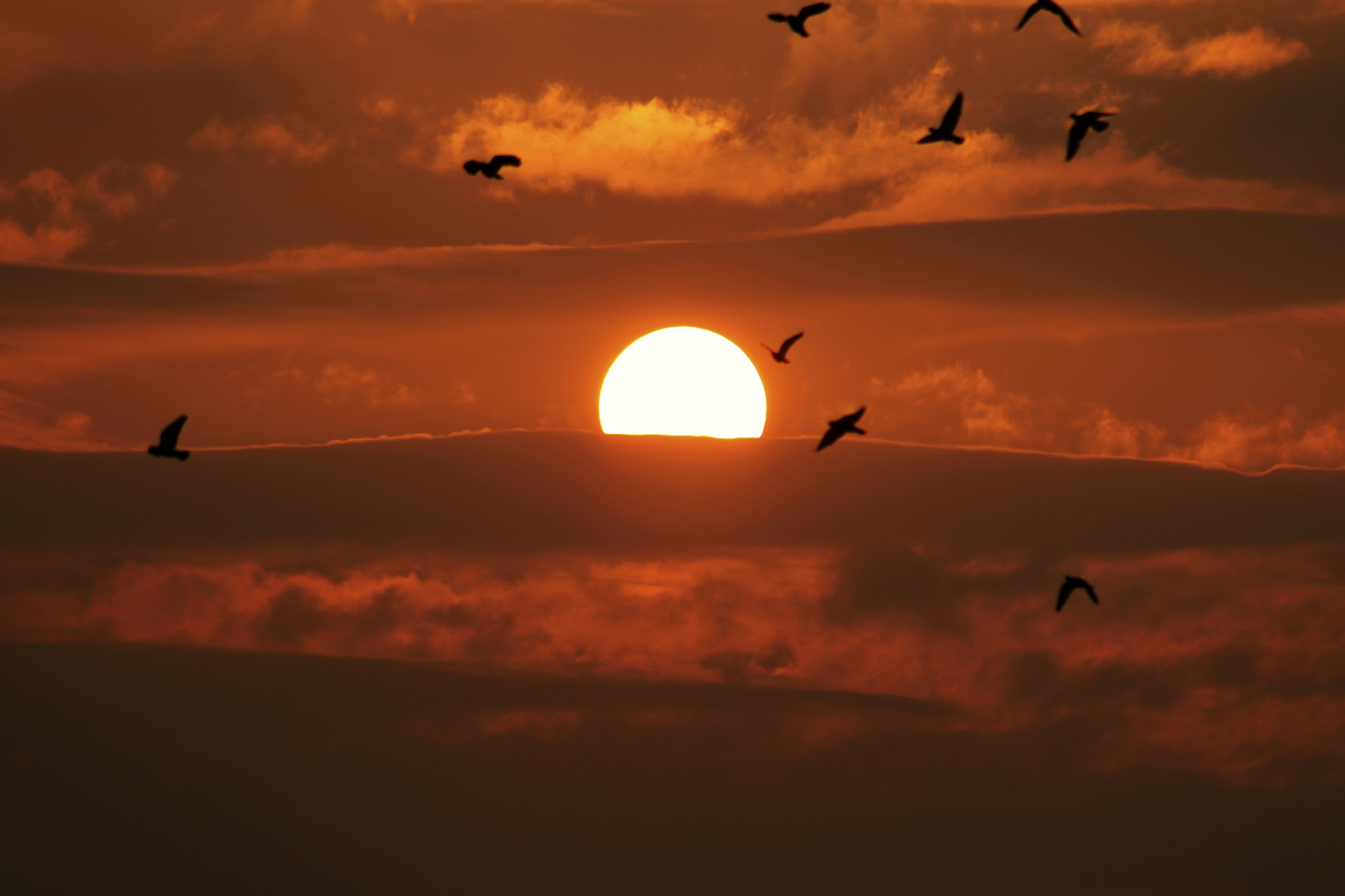 Photo by drphotographer152