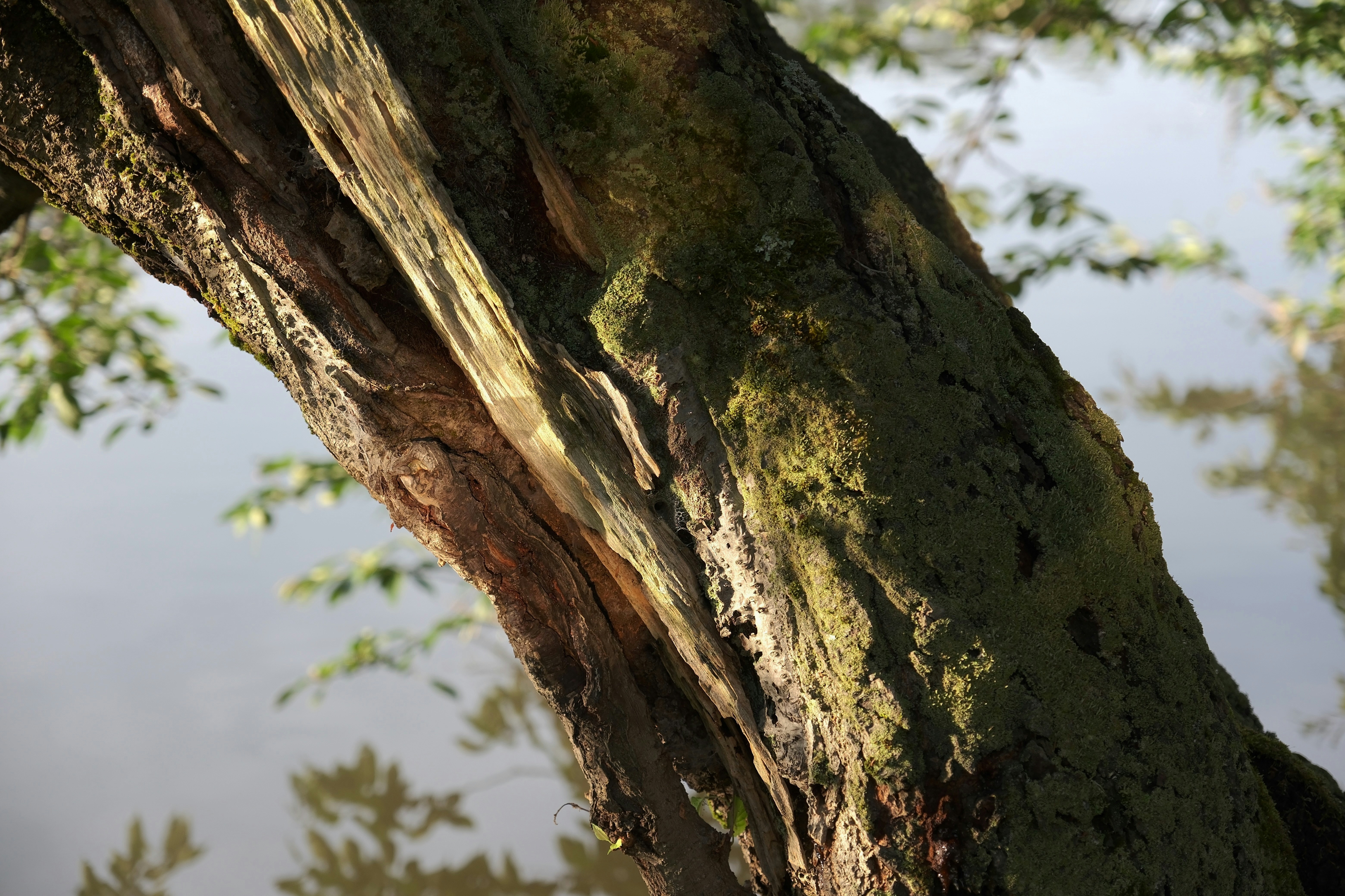 Photo by seiya_maeda