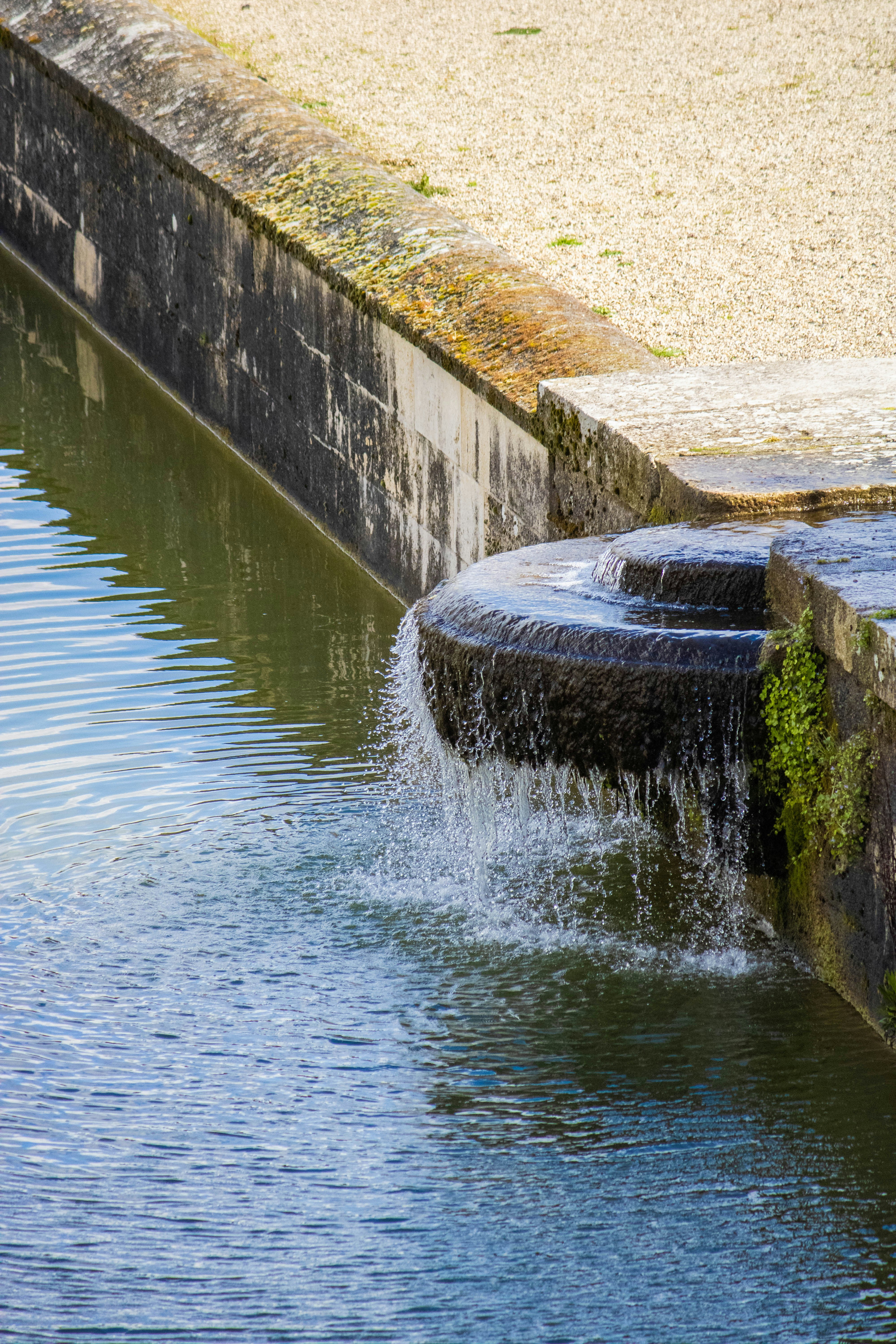 A bird standing on a ledge next to a body of water