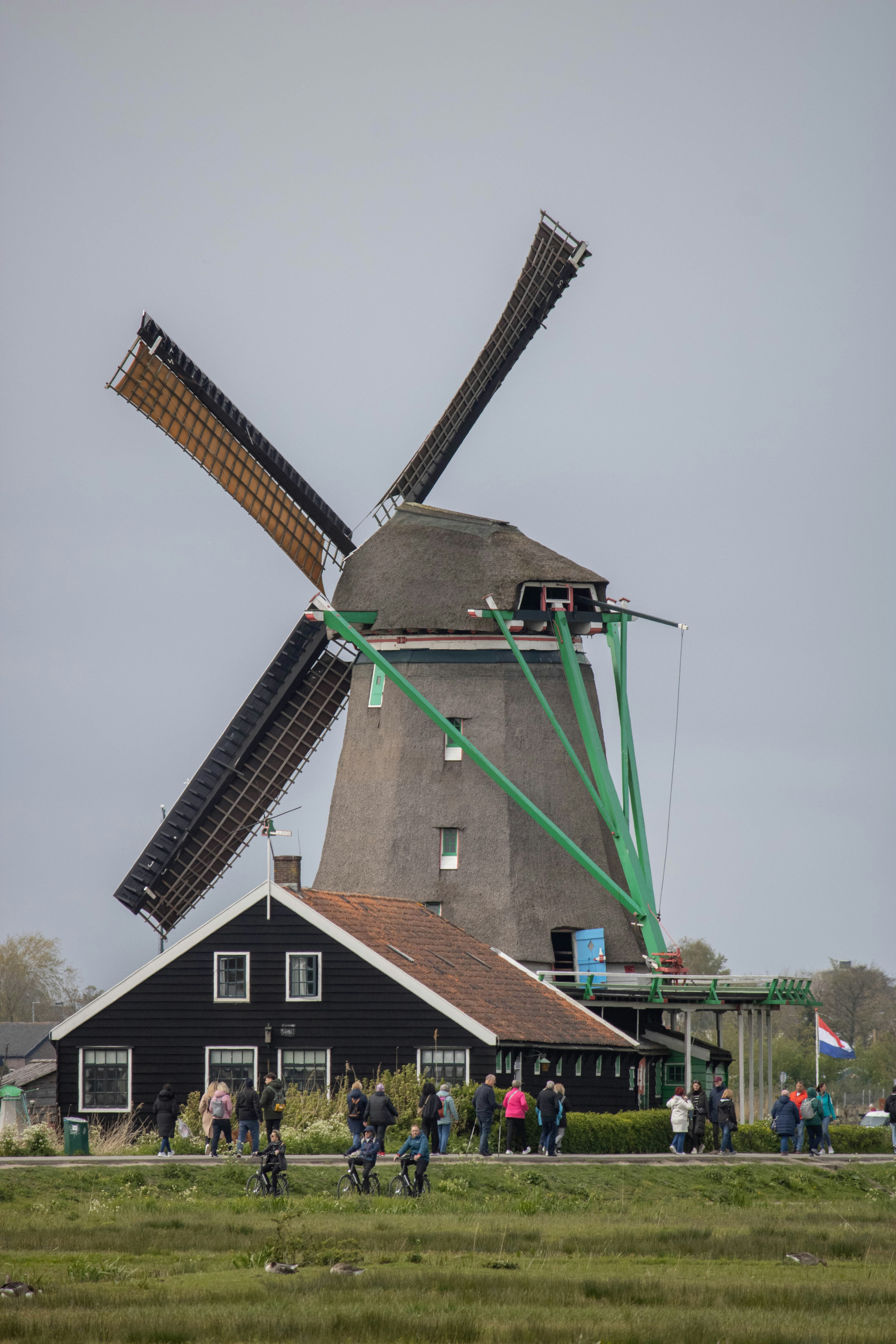 photo-1721638414331-0cd9e1e495de?ixid=M3wxMjA3fDB8MXxzZWFyY2h8MjN8fGdyYXN6b2RlbiUyMGtvcGVuJTIwbm9vcmQlMjBob2xsYW5kfGVufDB8fHx8MTc0NTcxNjIyN3ww%5Cu0026ixlib=rb-4.0.3