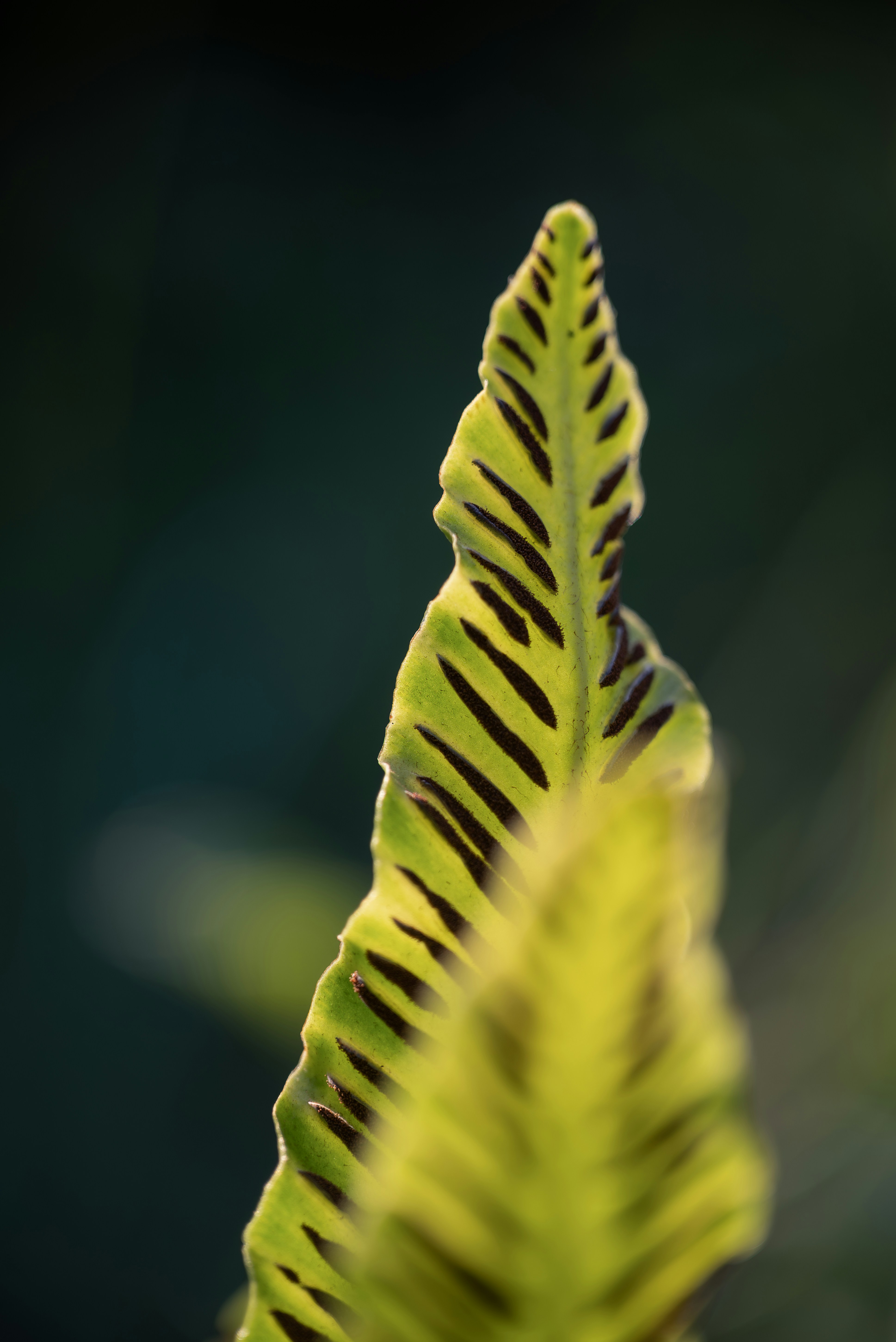 Photo by jetztabertempo