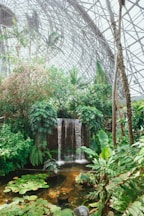 A waterfall in the middle of a tropical garden