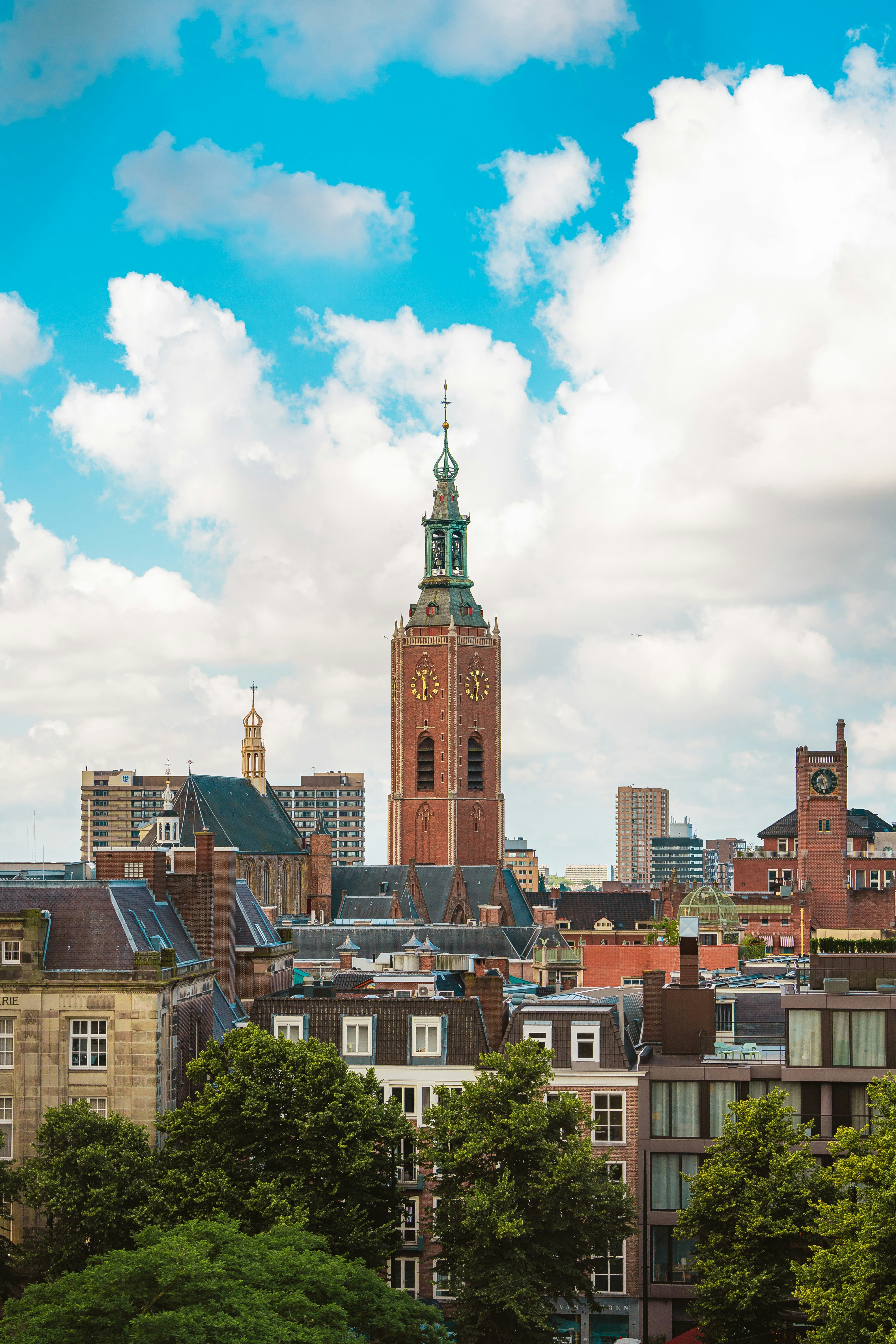 Photo by alirezaparpaei