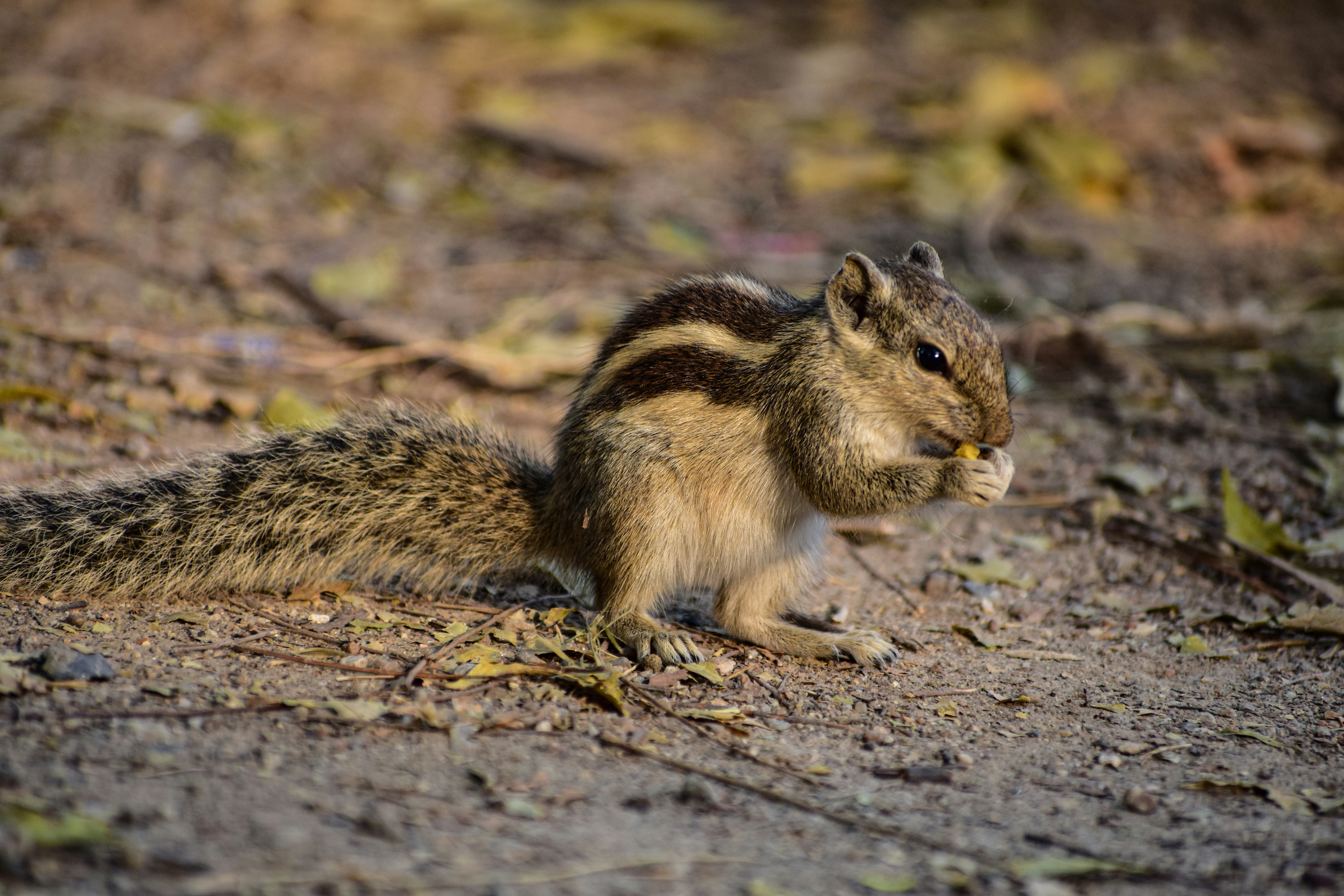 Photo by dharm_chauhan_03