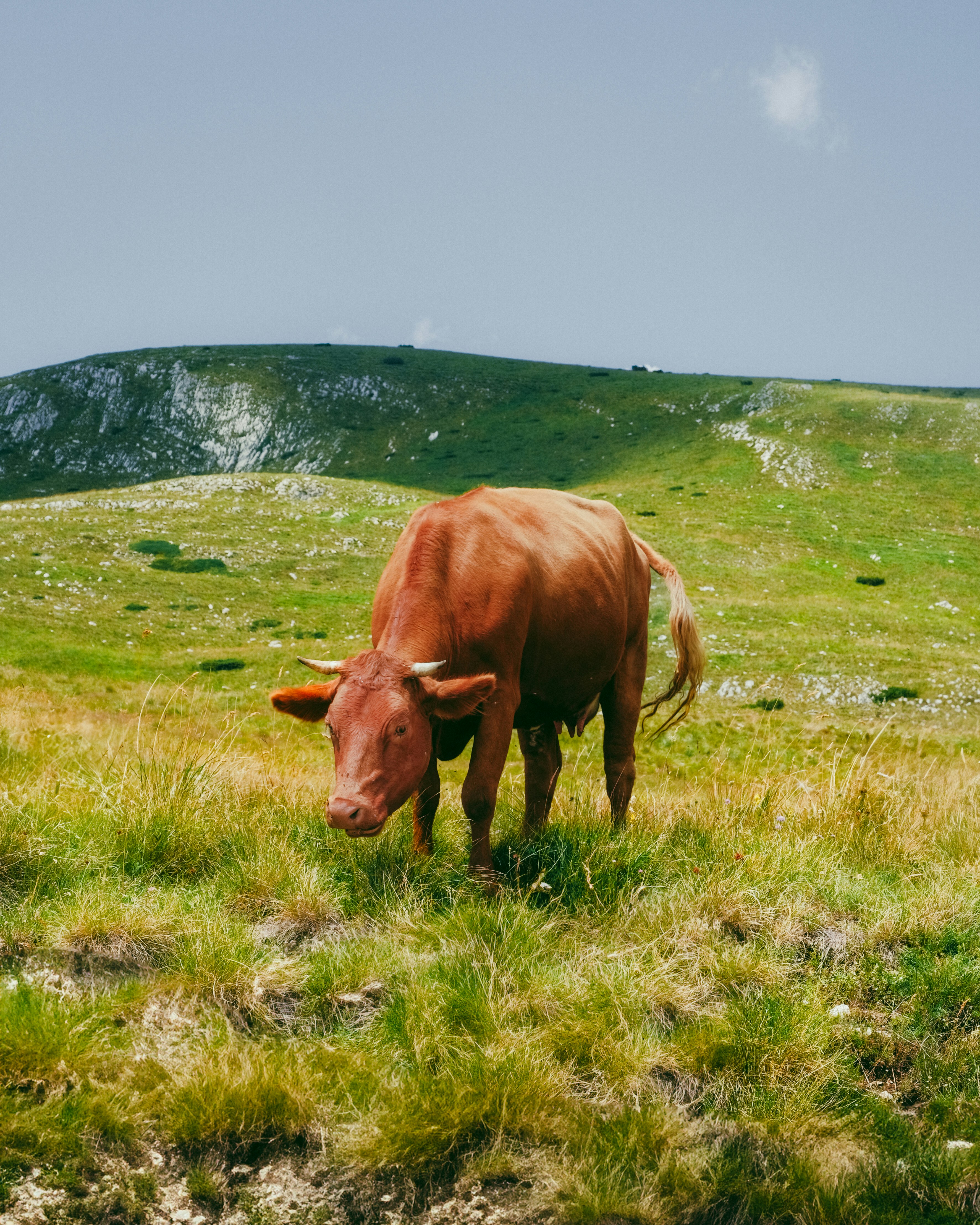 Photo by marishphoto