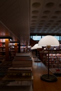 A library filled with lots of books and lamps