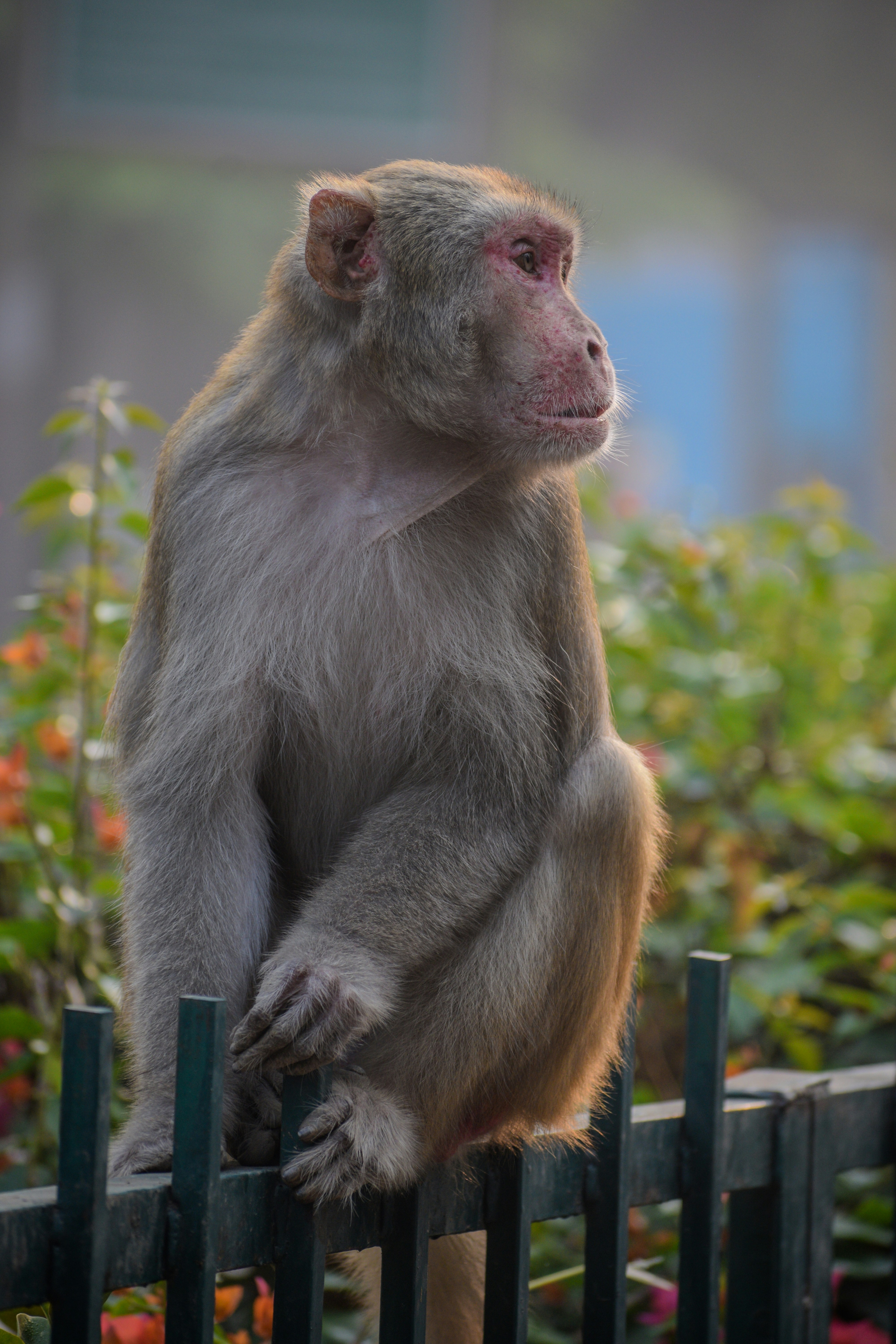 Photo by updesh007