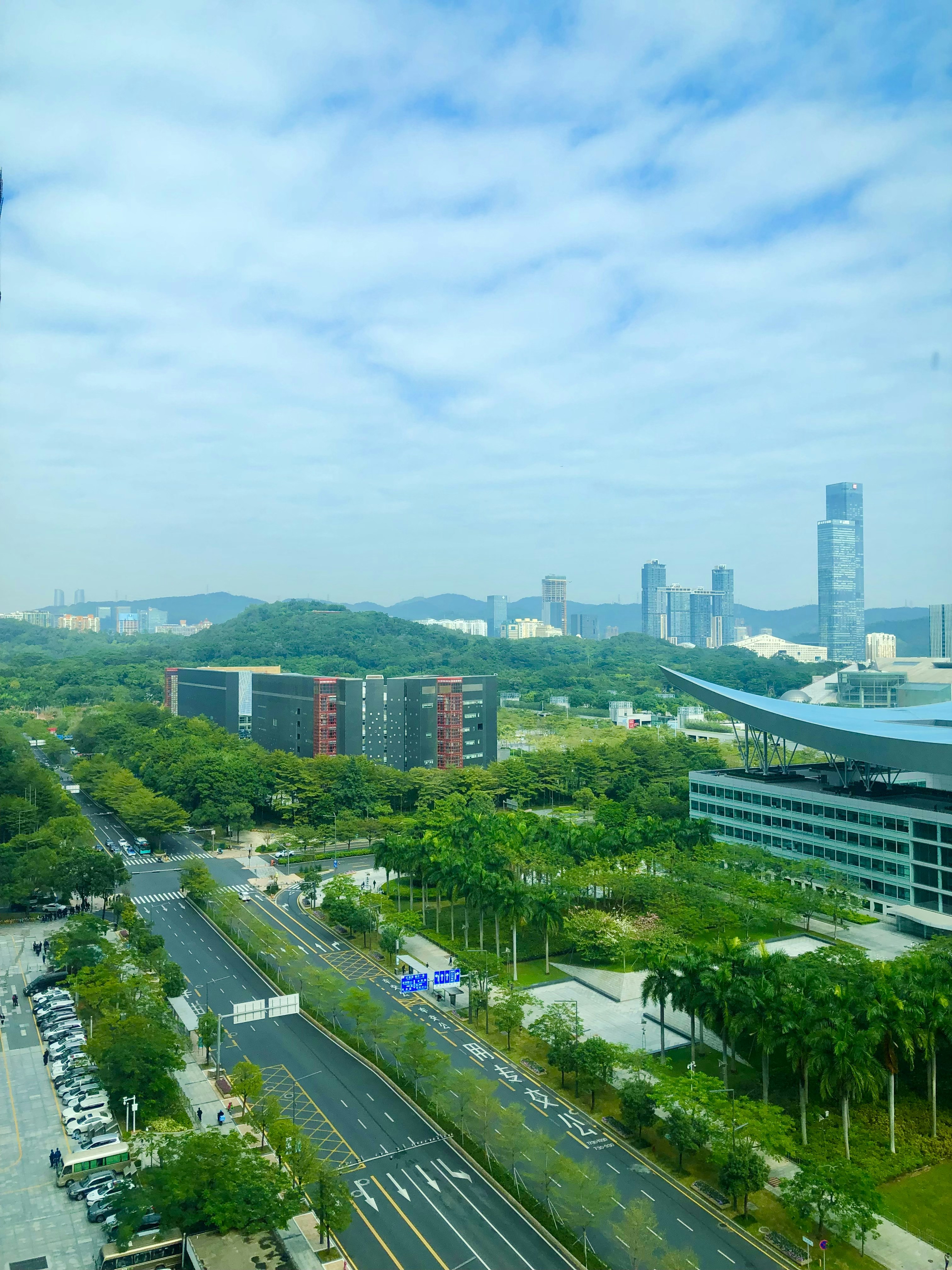 Cebu City skyline from above with tropical greenery in foreground, bright sunny day, modern urban development