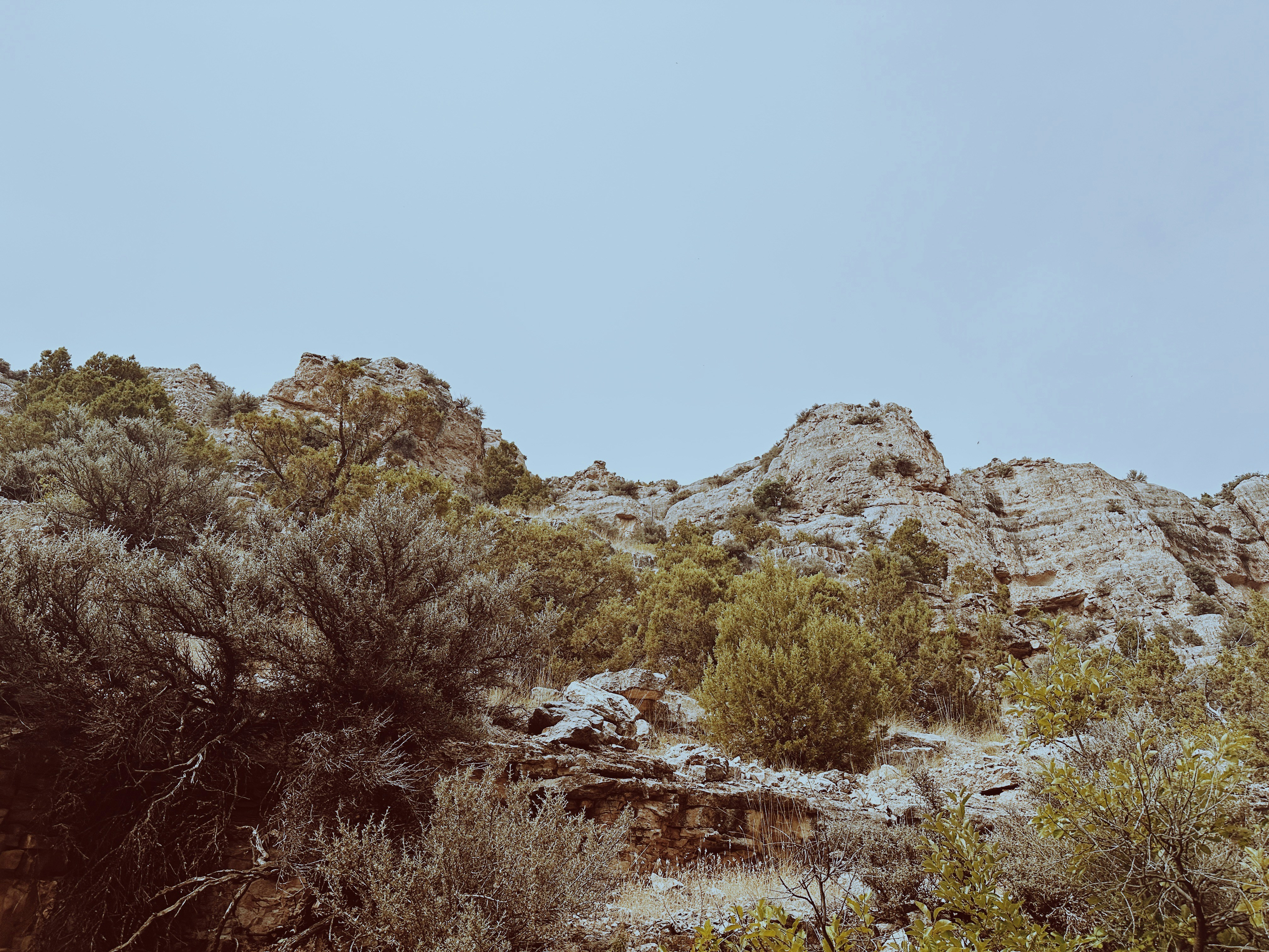 Photo by nickdepartee