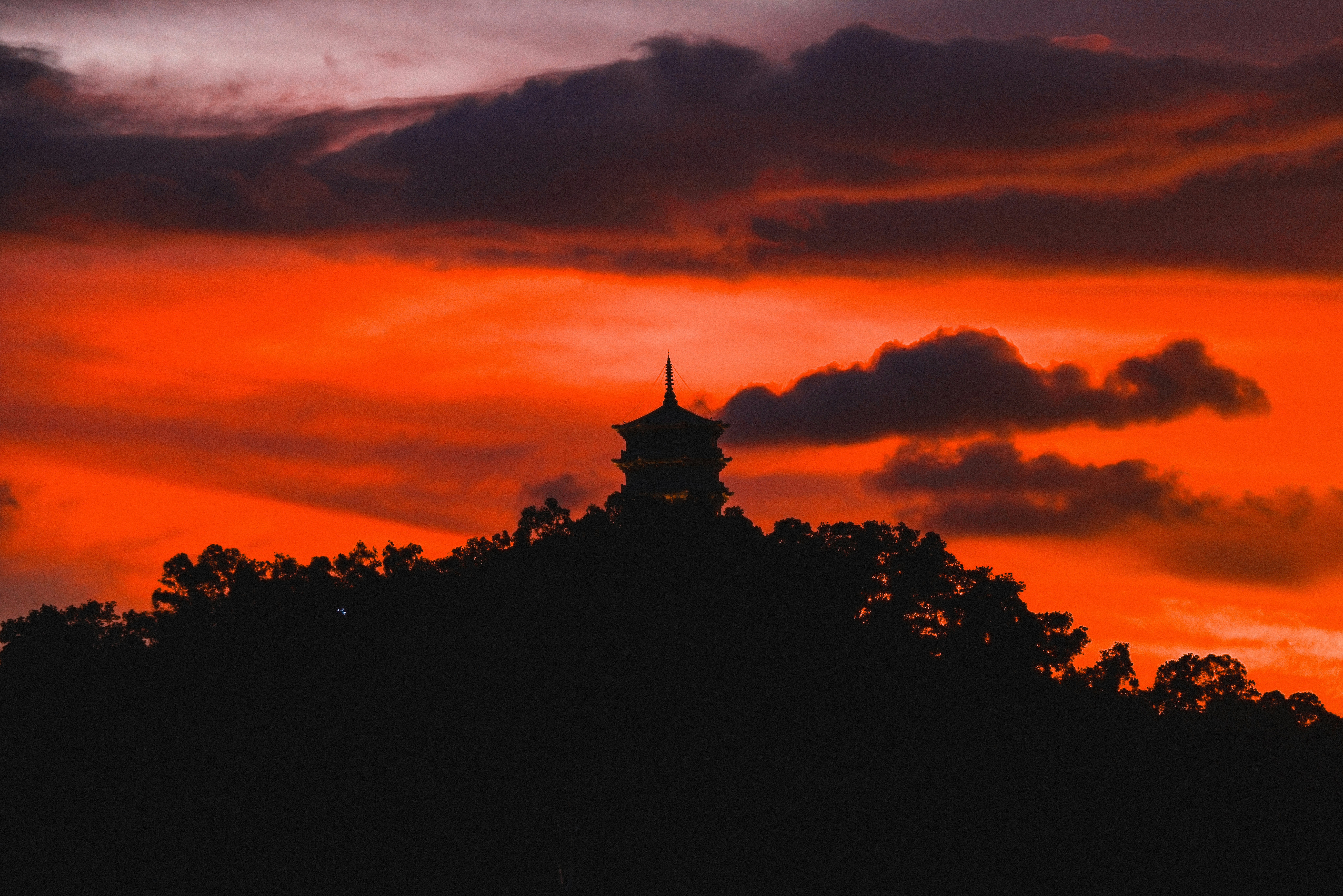 Photo by dickenslin76