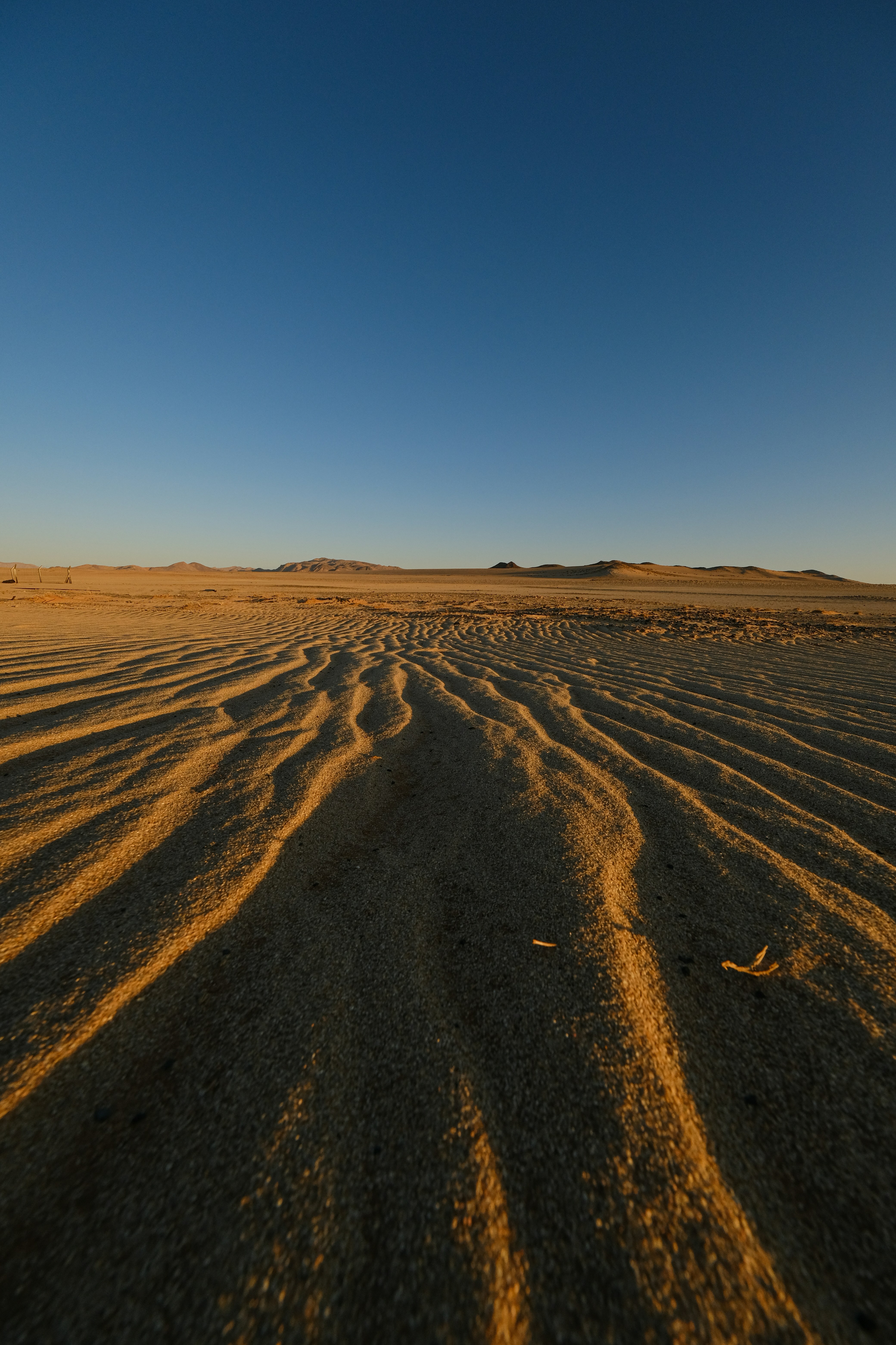 Photo by francesco_ungaro