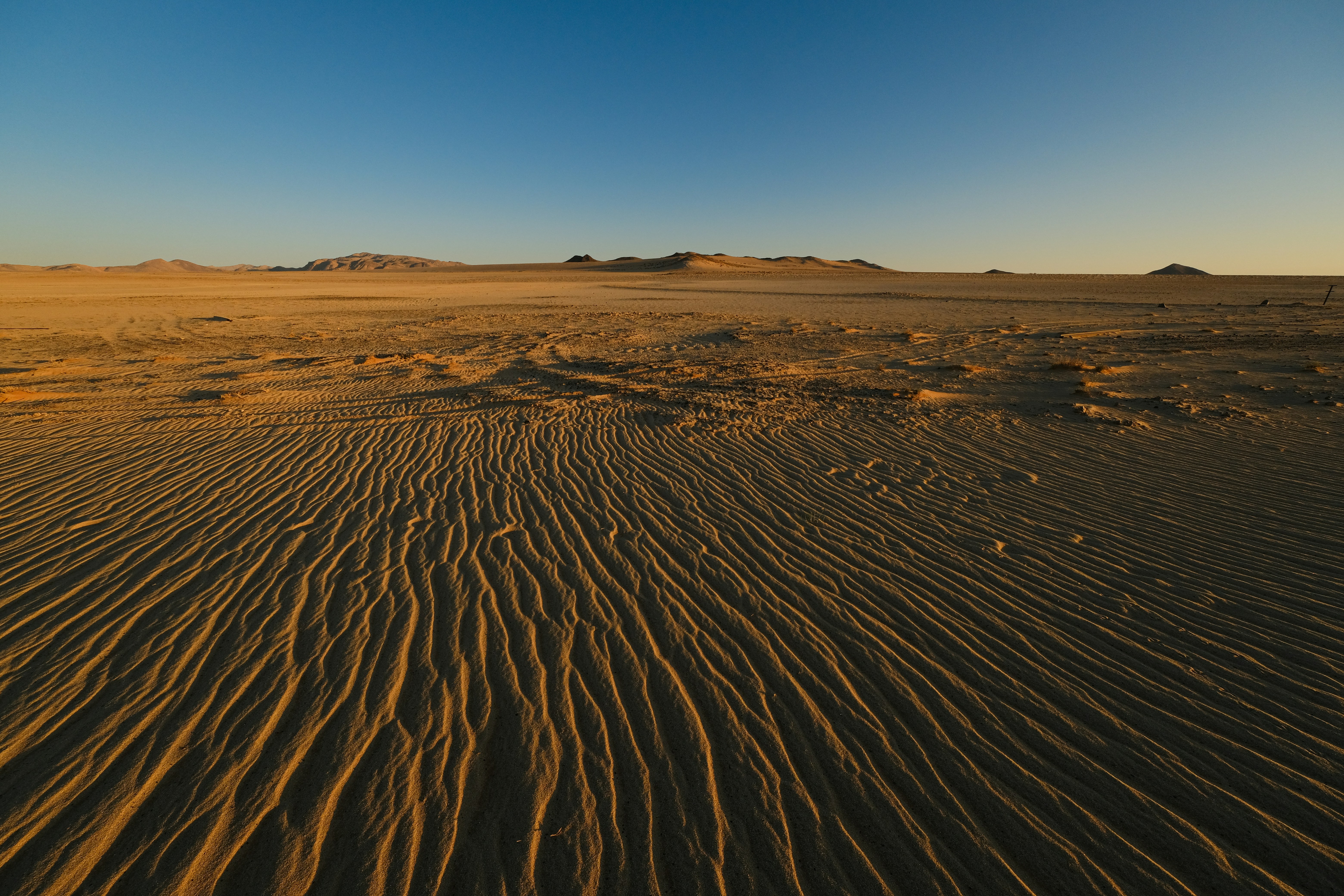 Photo by francesco_ungaro