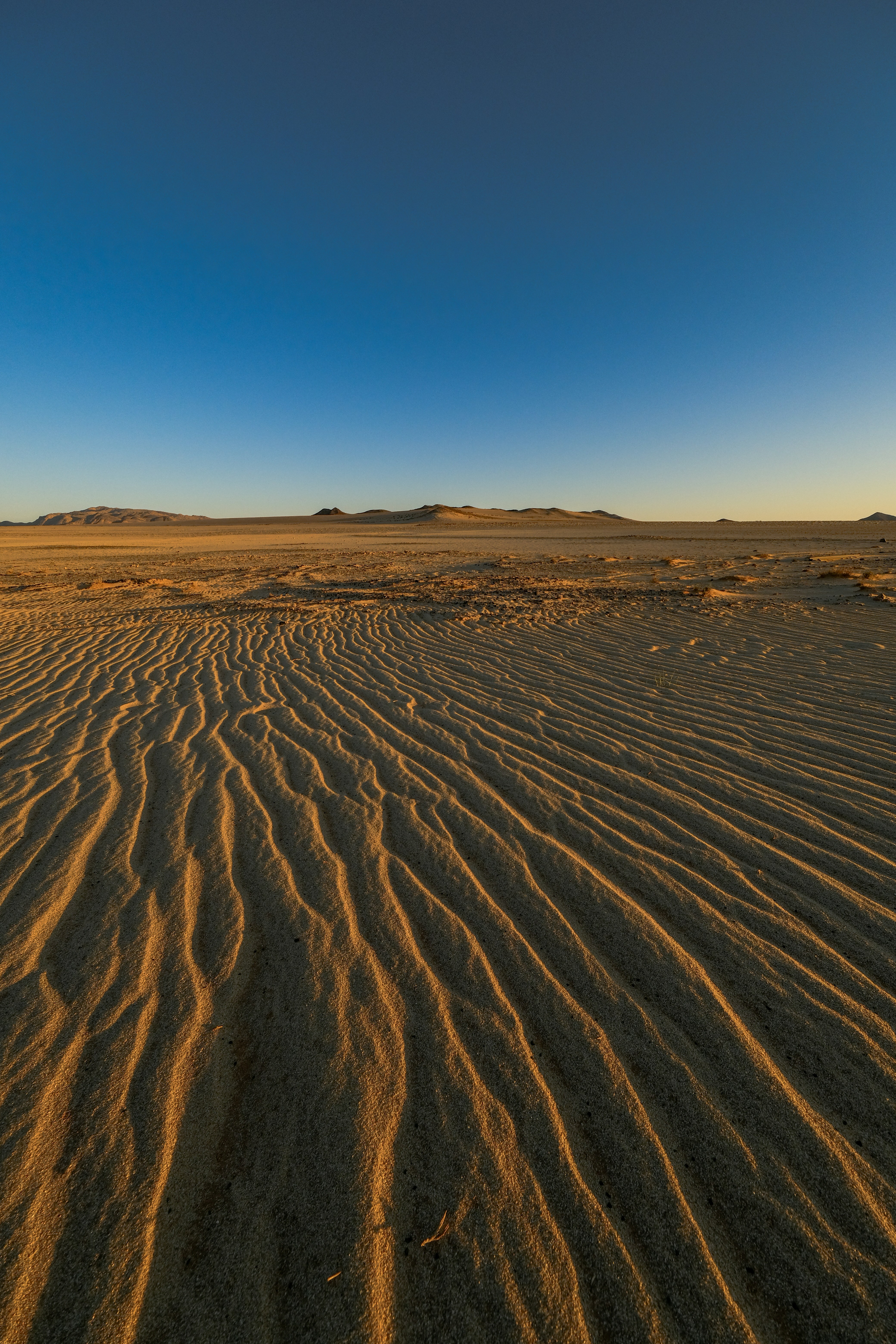 Photo by francesco_ungaro