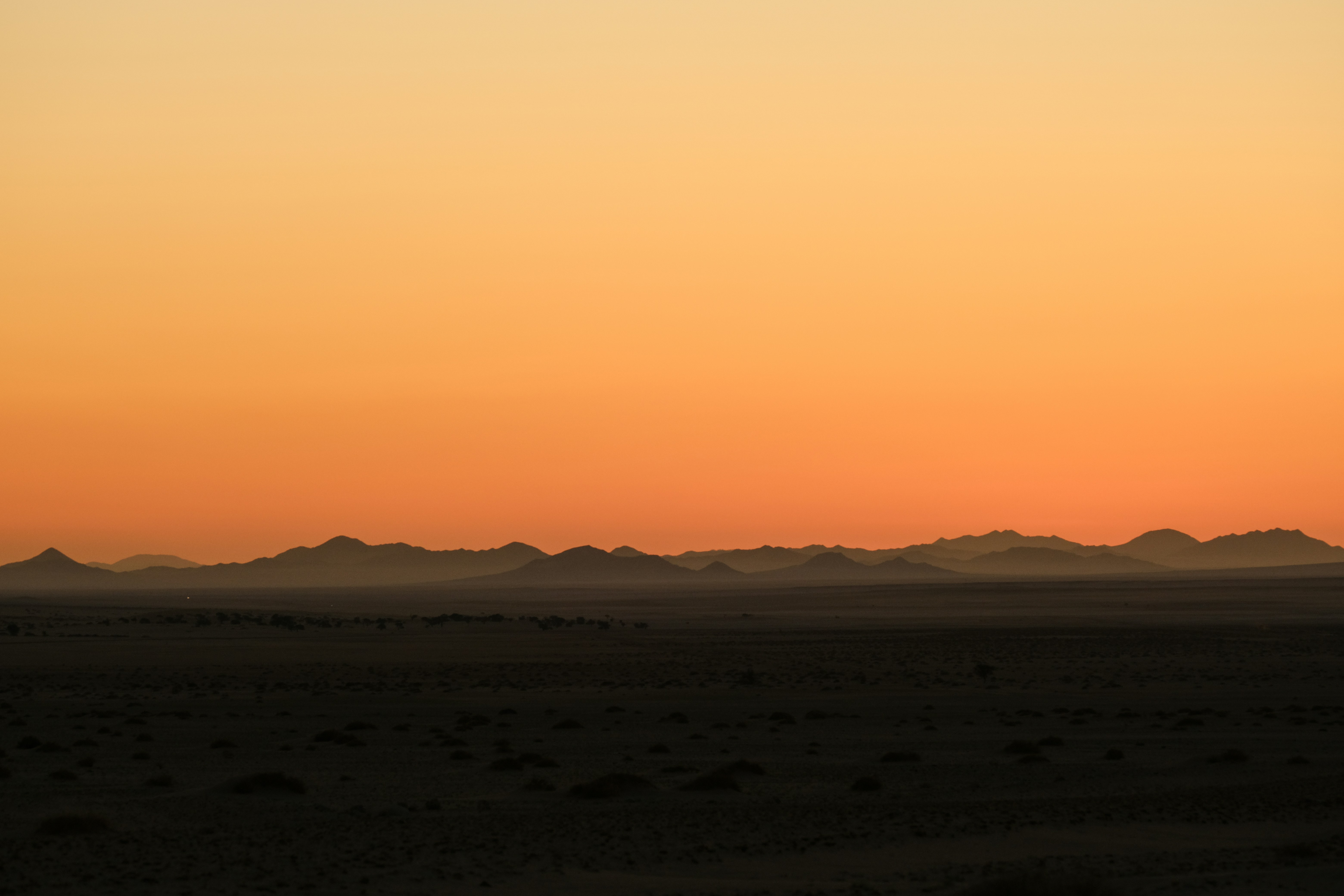 Photo by francesco_ungaro