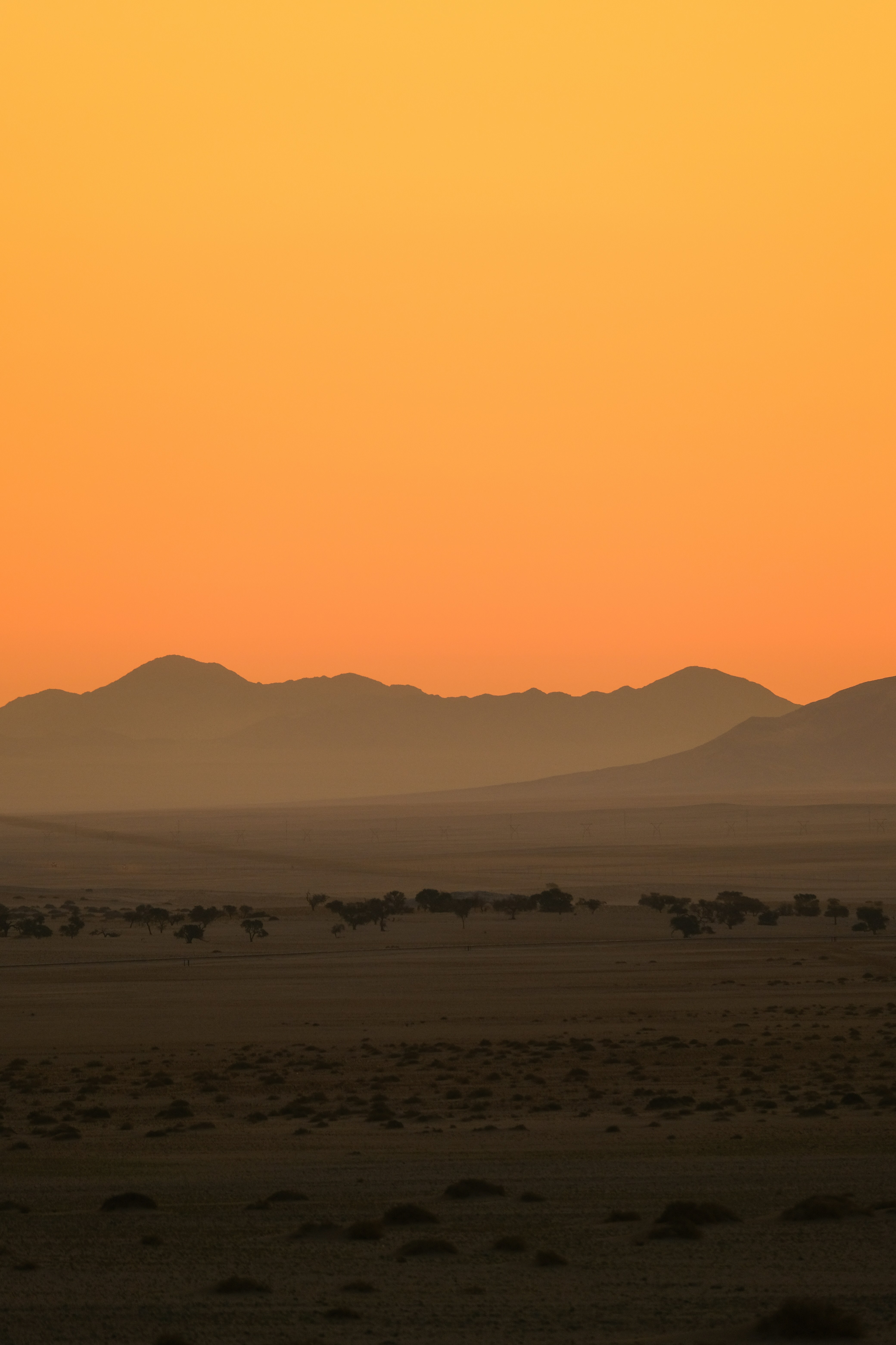 Photo by francesco_ungaro