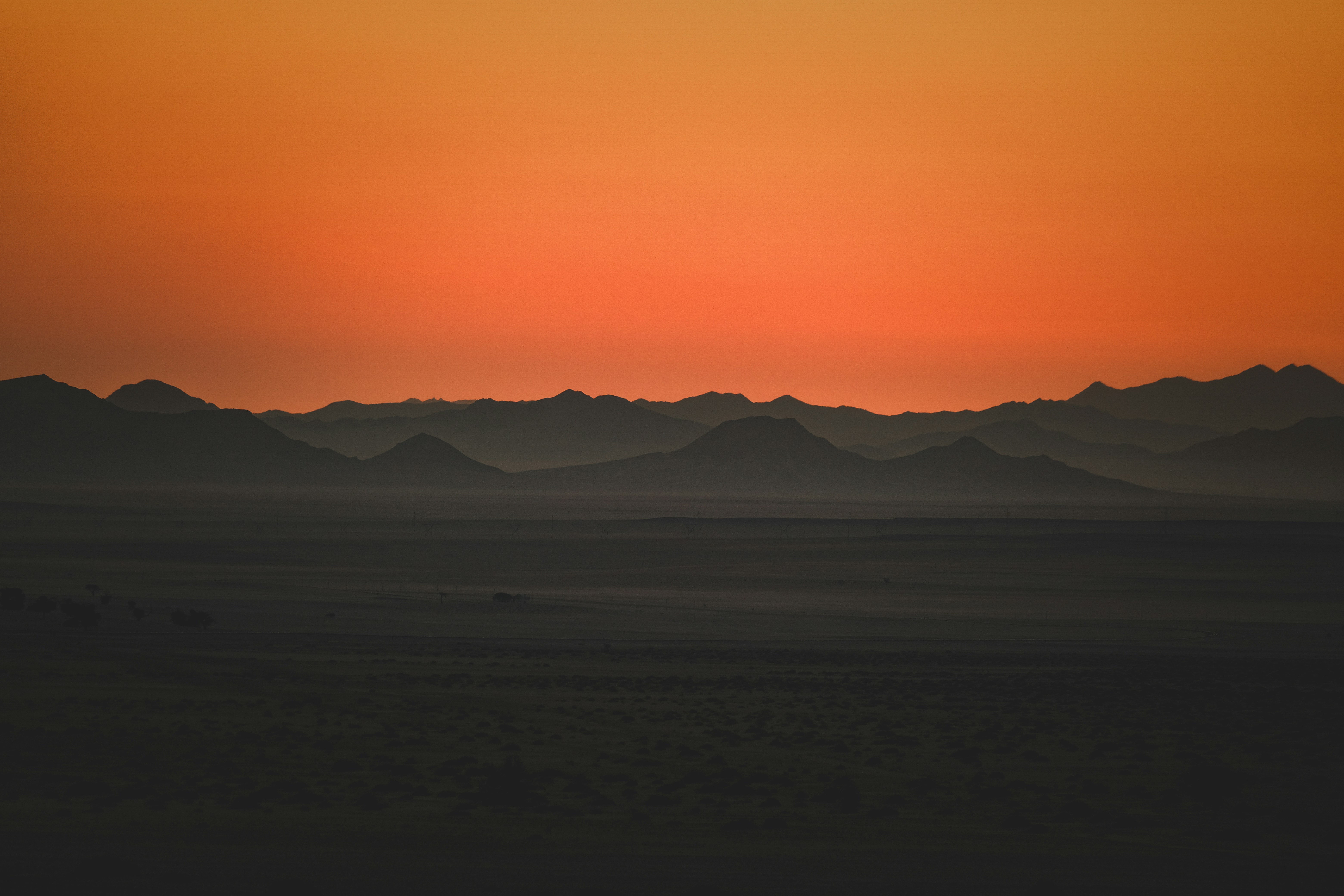 Photo by francesco_ungaro