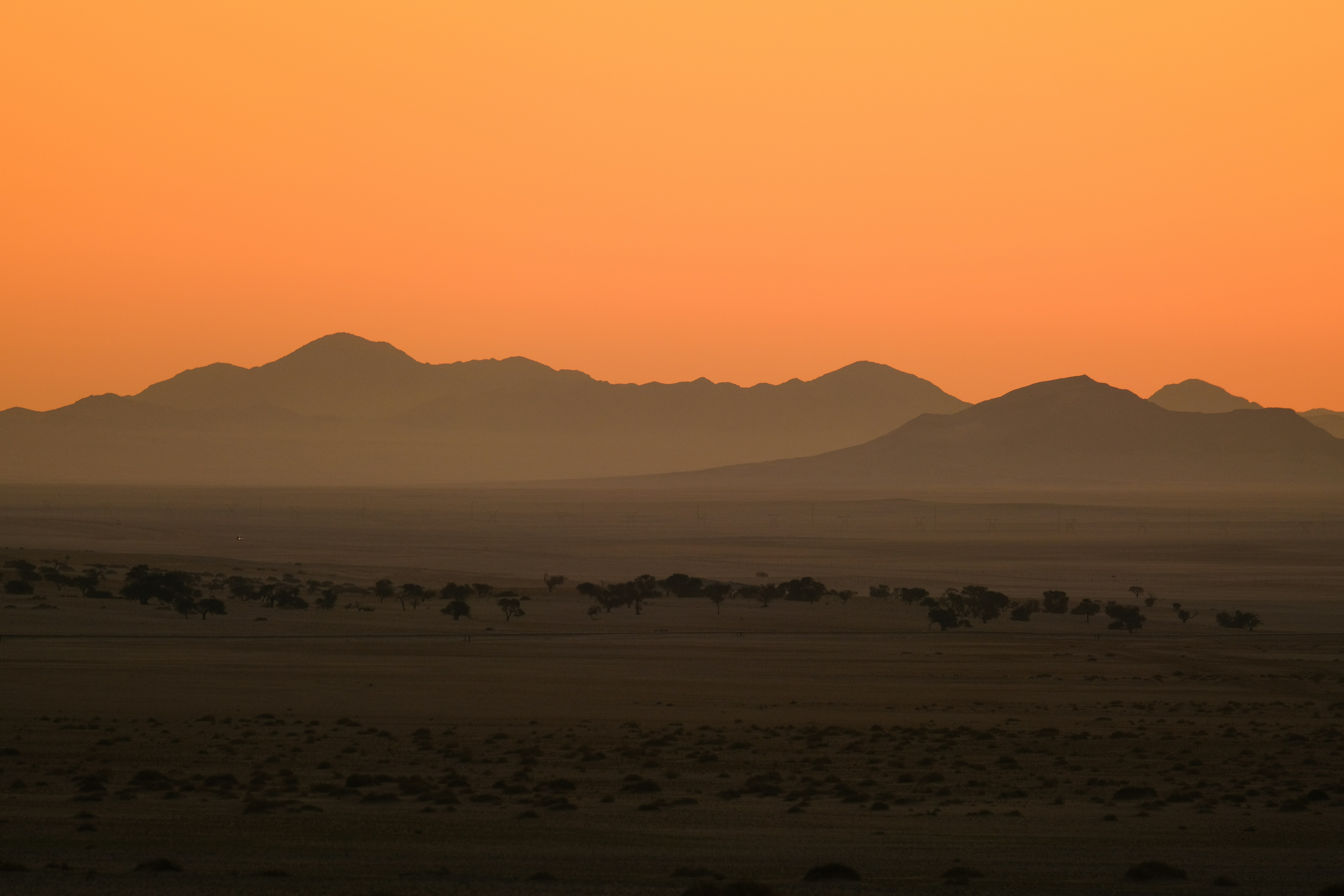 Photo by francesco_ungaro