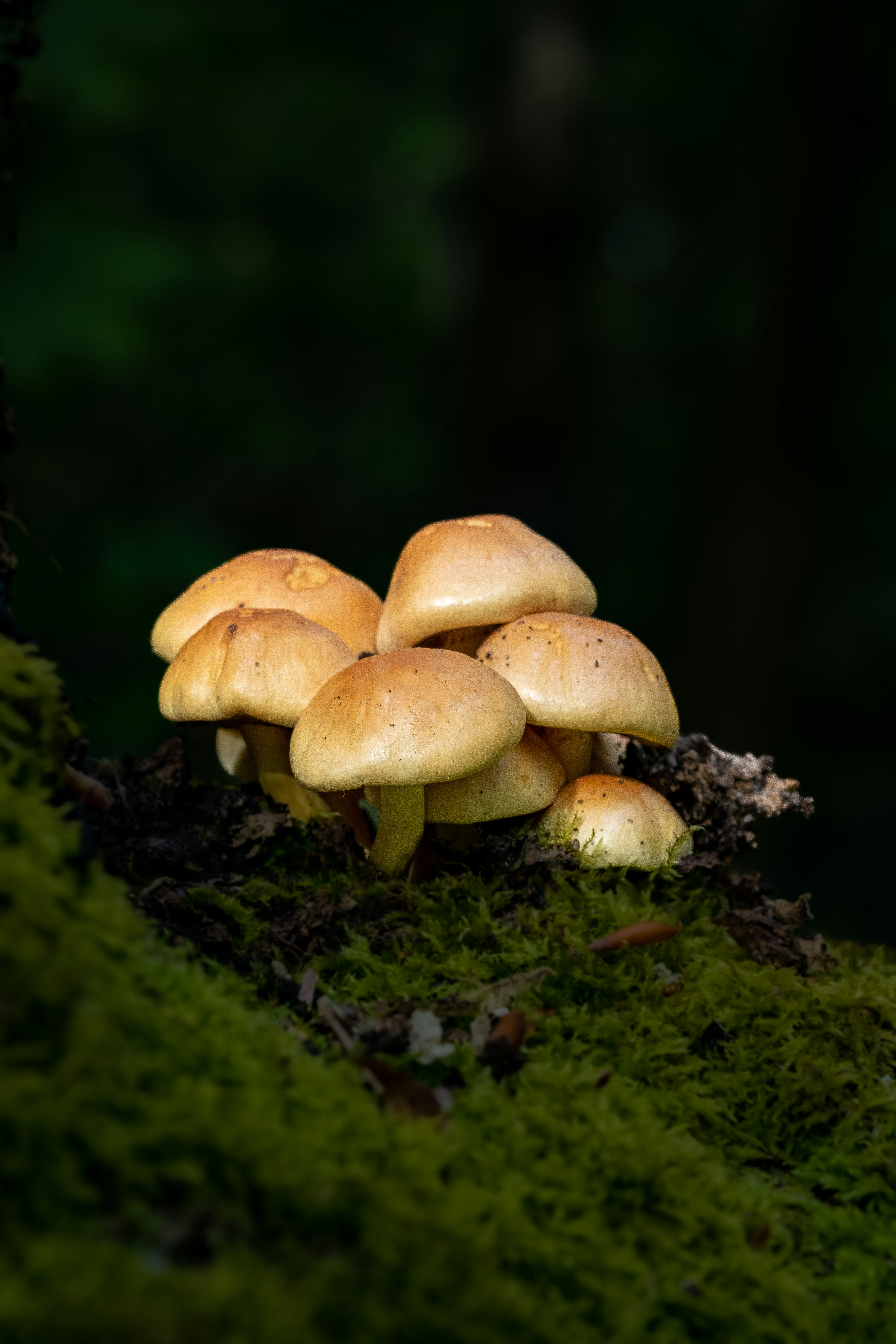 Photo by harryborrettphotography