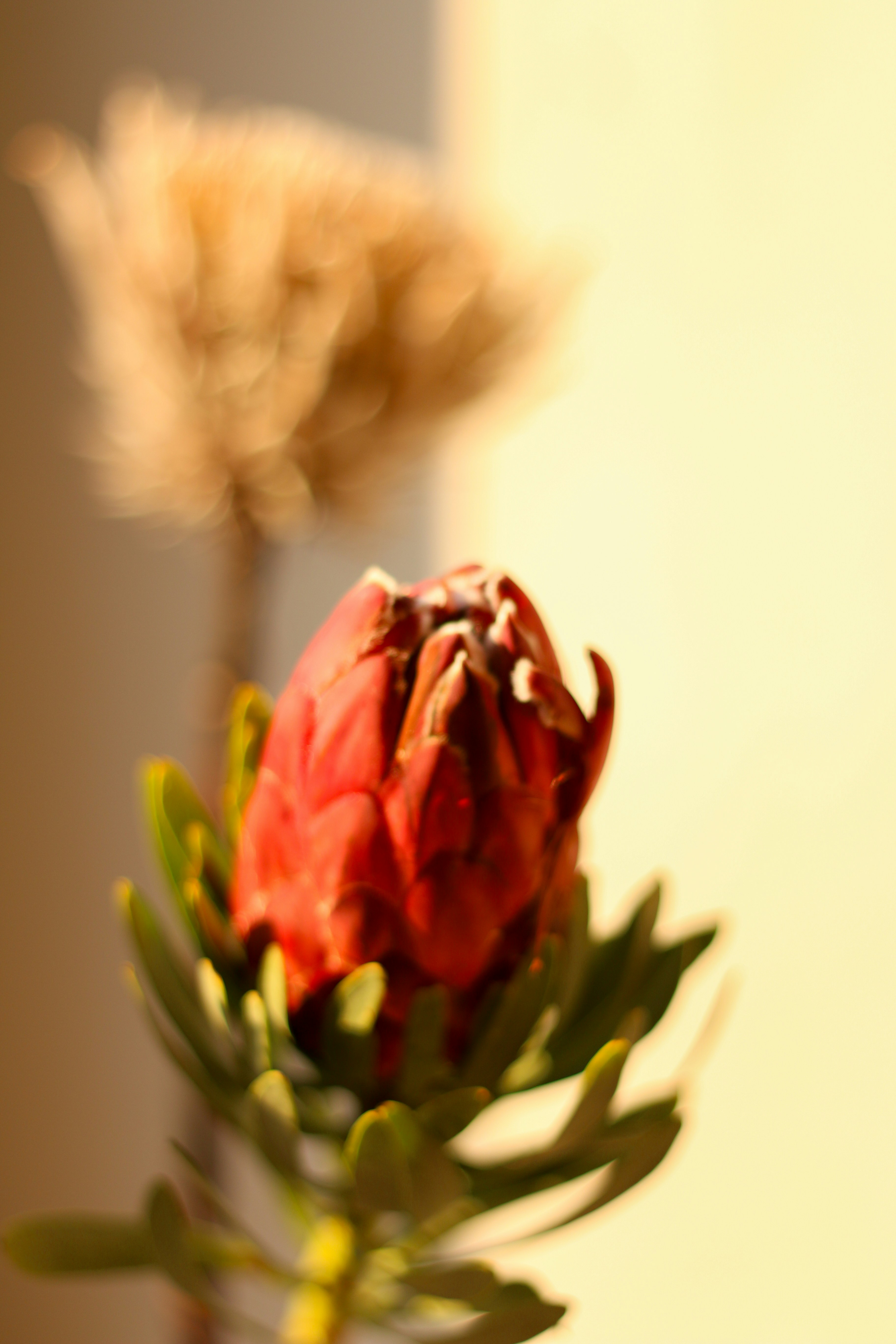 Photo by glencarrie
