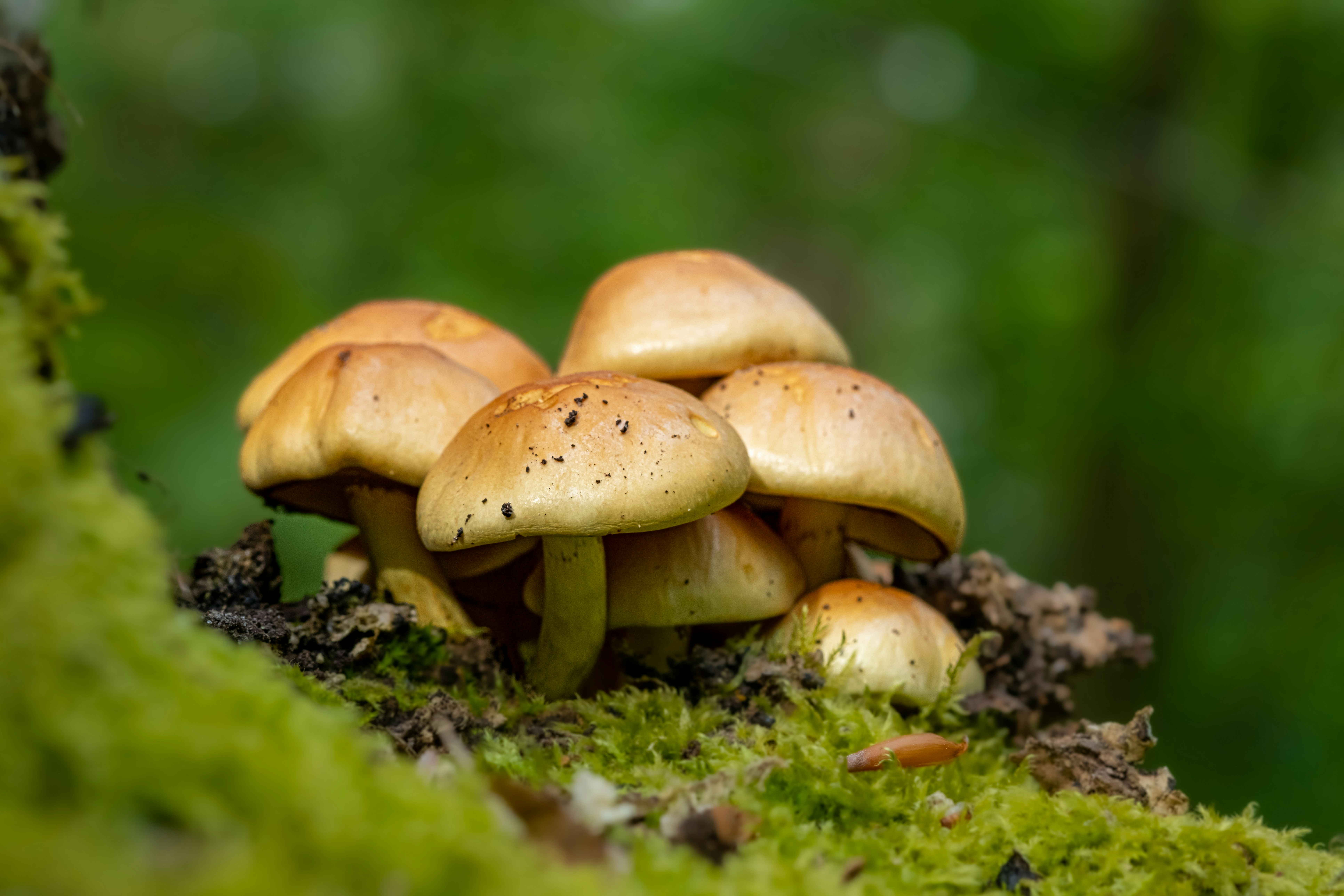 Photo by harryborrettphotography