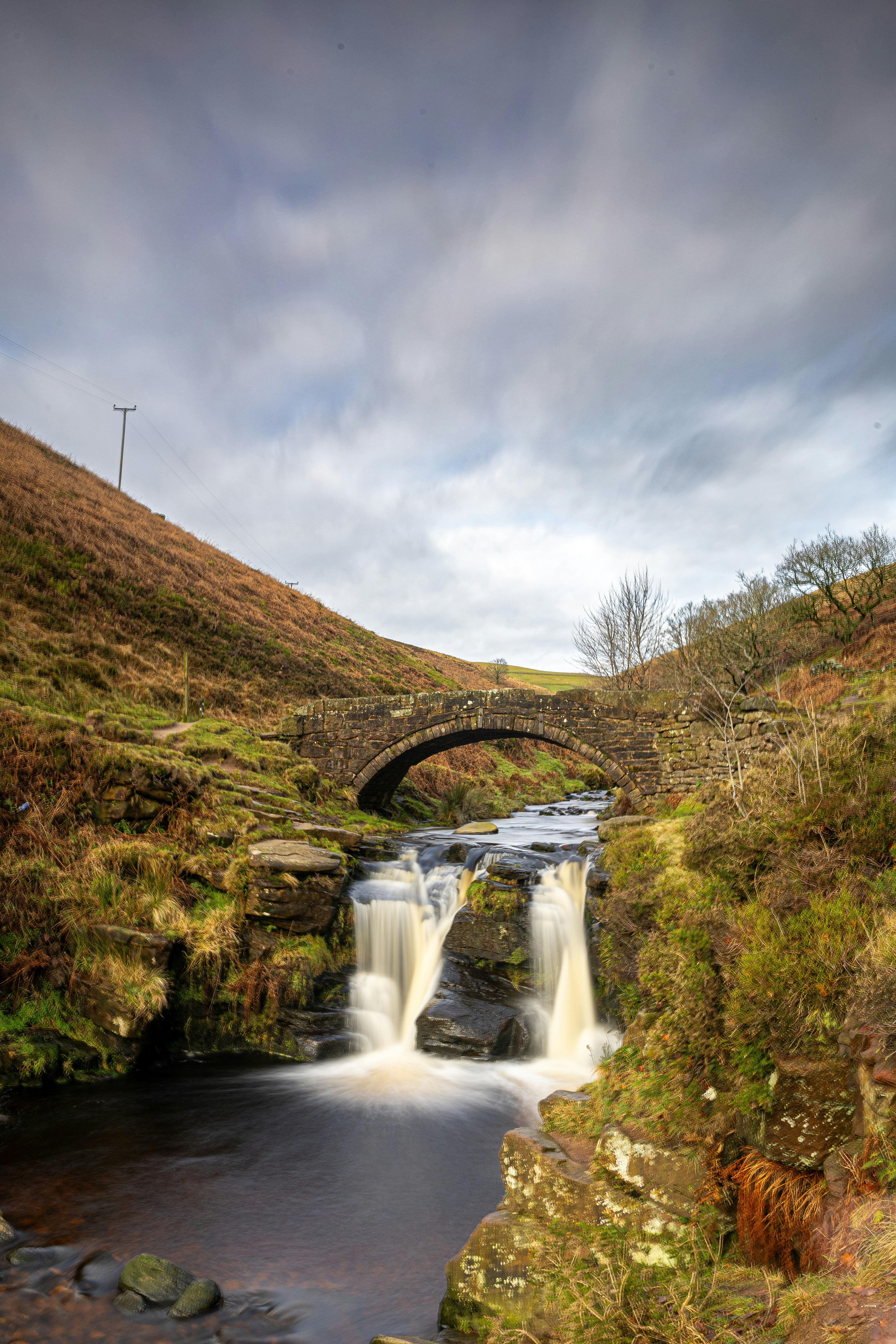 Photo by harryborrettphotography