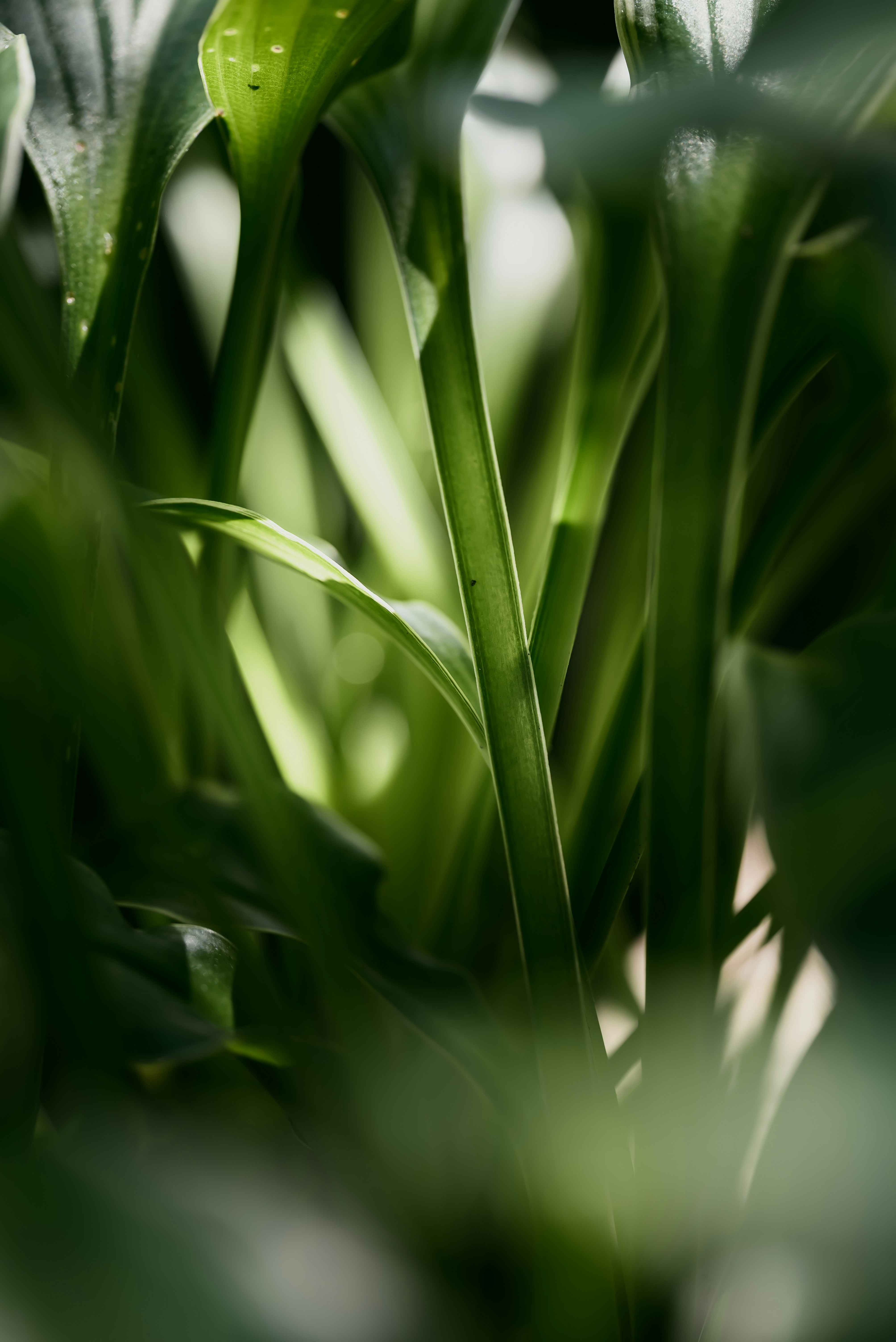 Photo by agataciosek