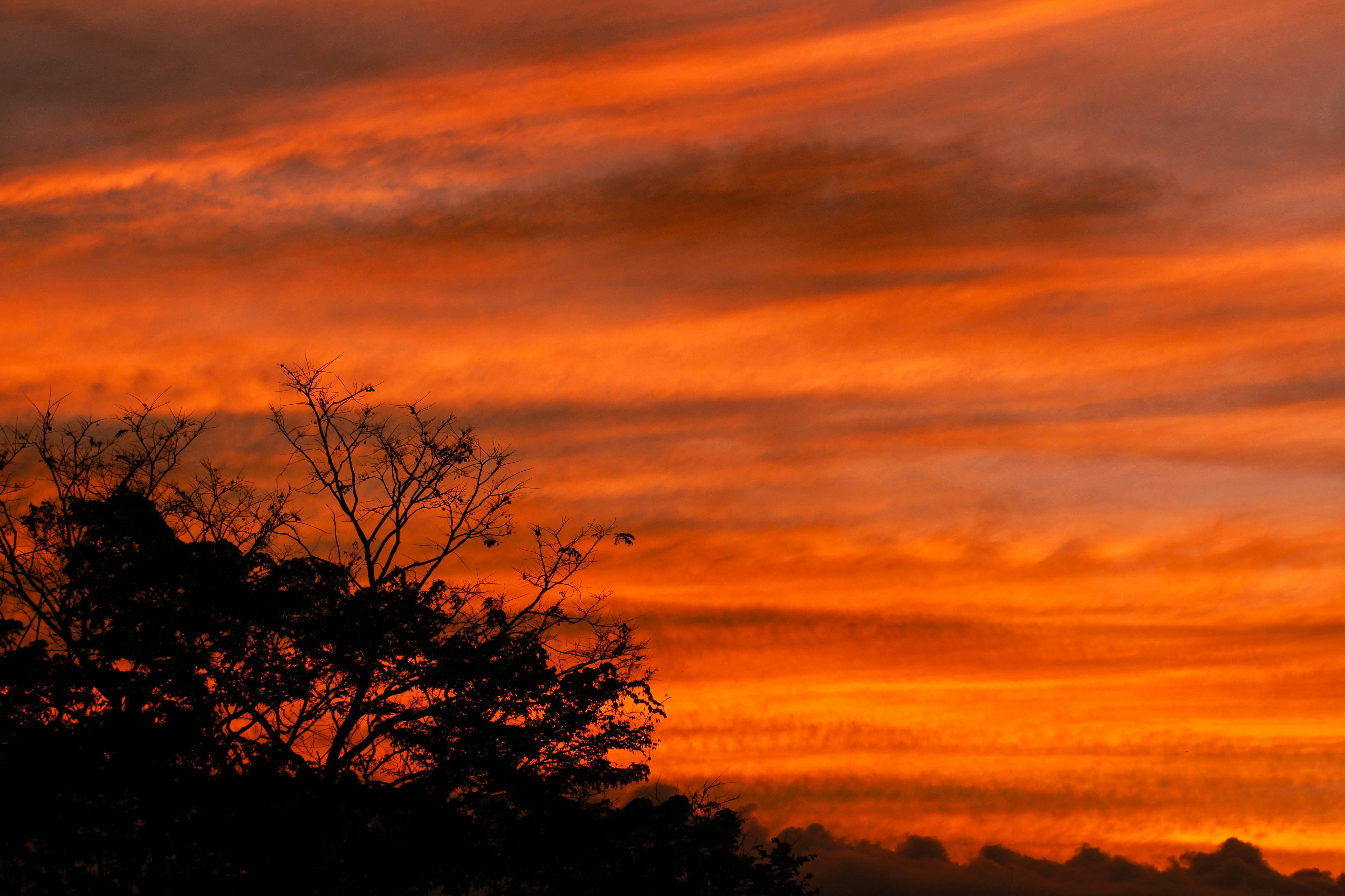 Photo by joshieee_12