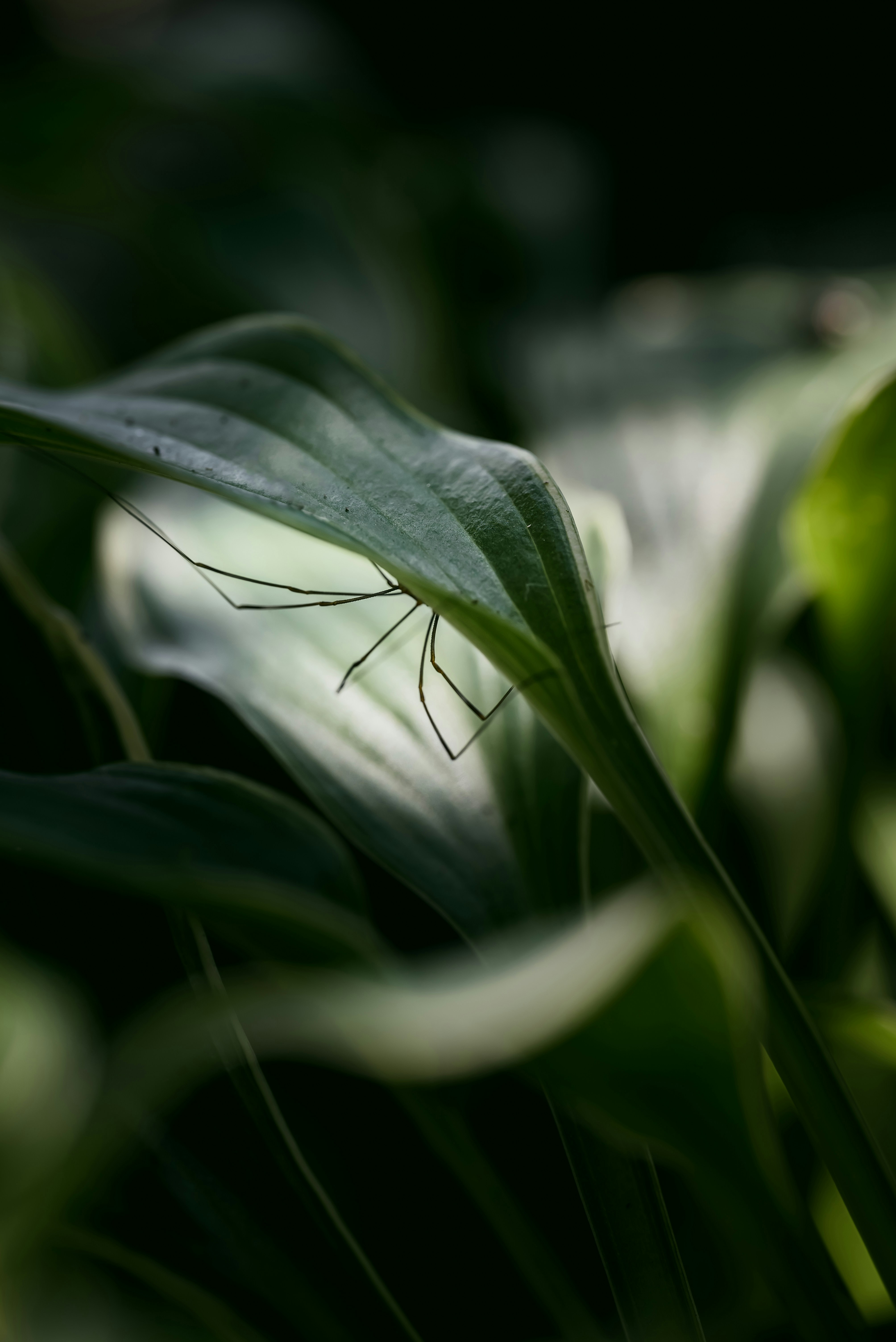 Photo by agataciosek