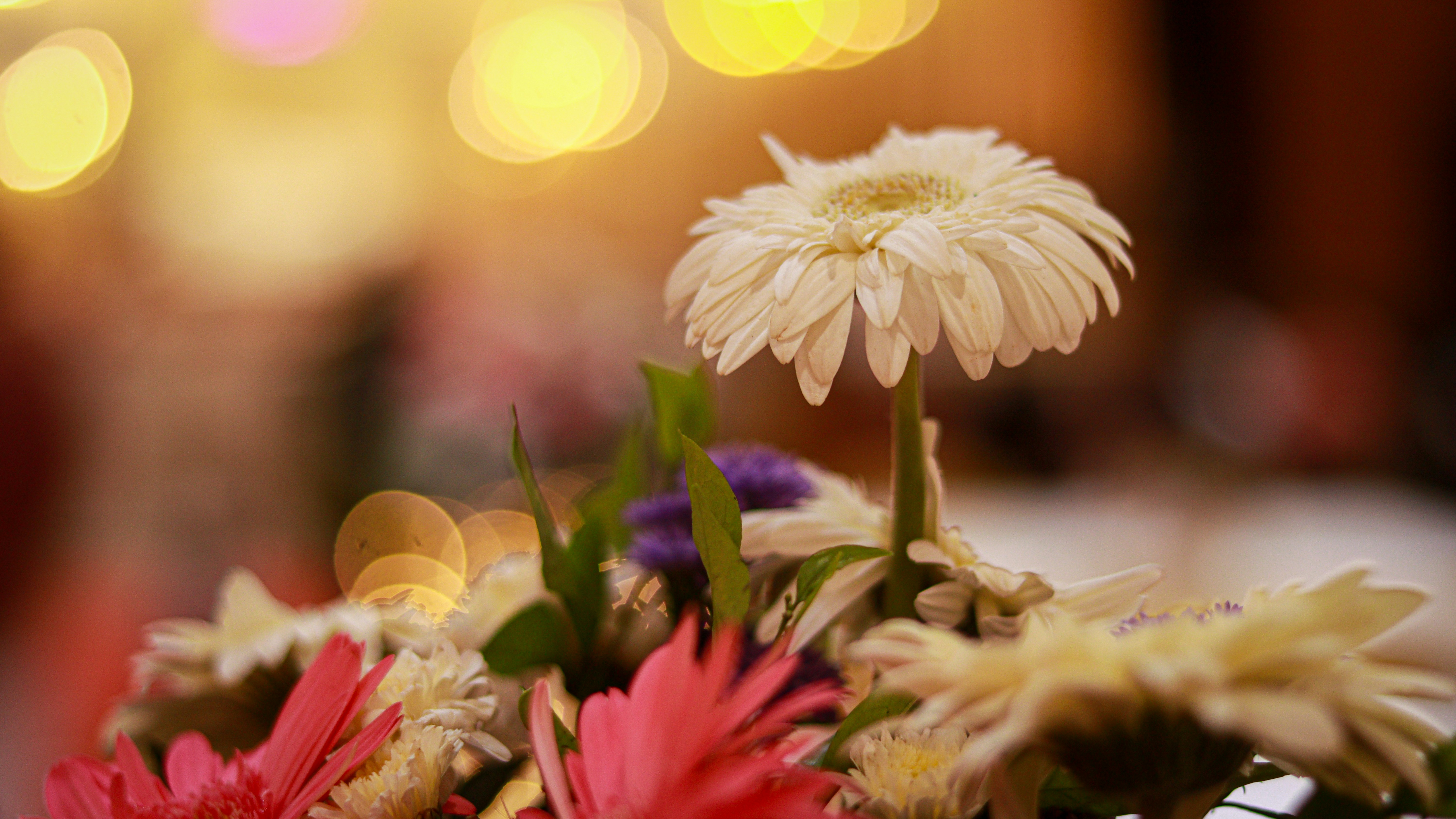 Photo by the_50mm_snaps