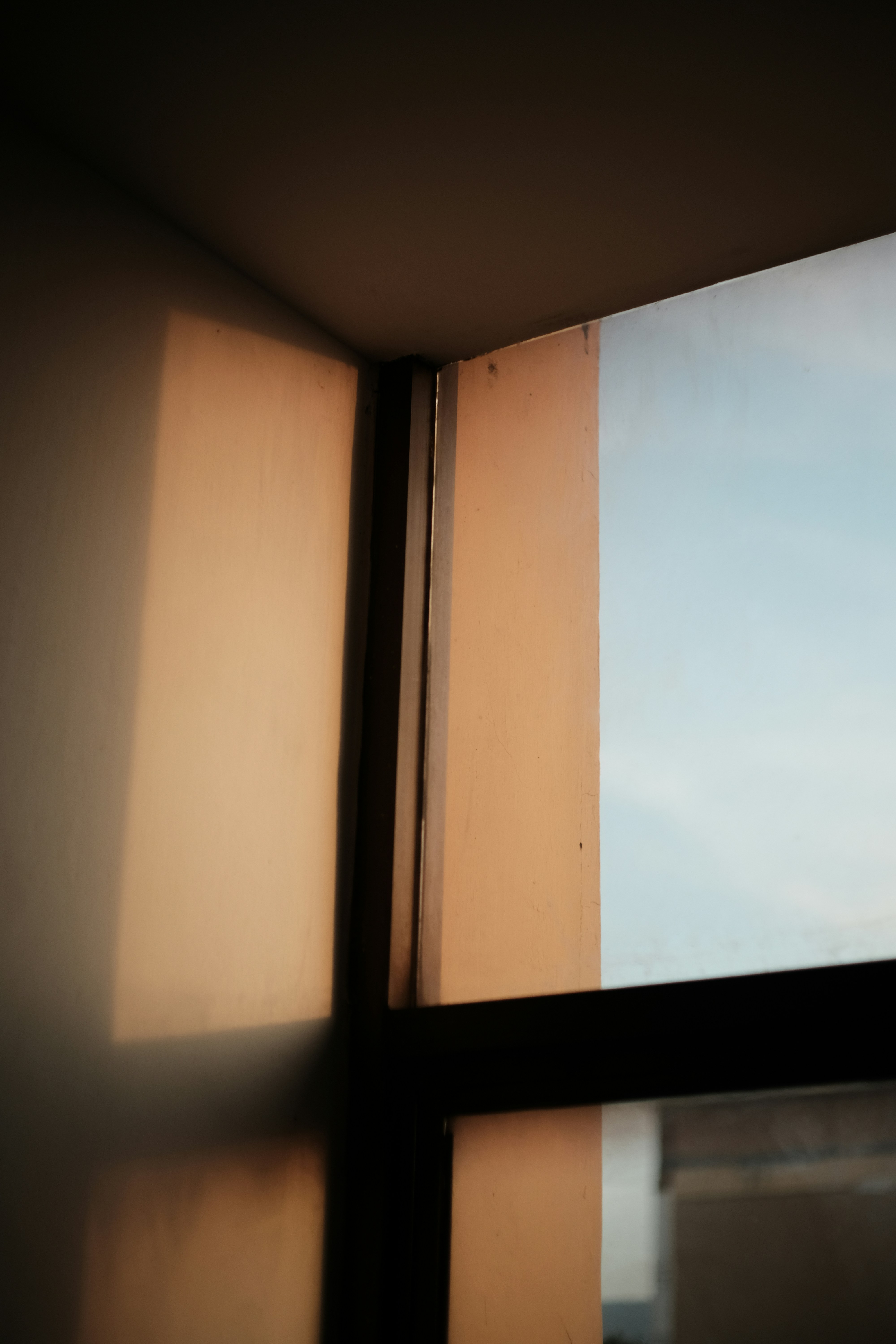 A window with a bird sitting on the window sill