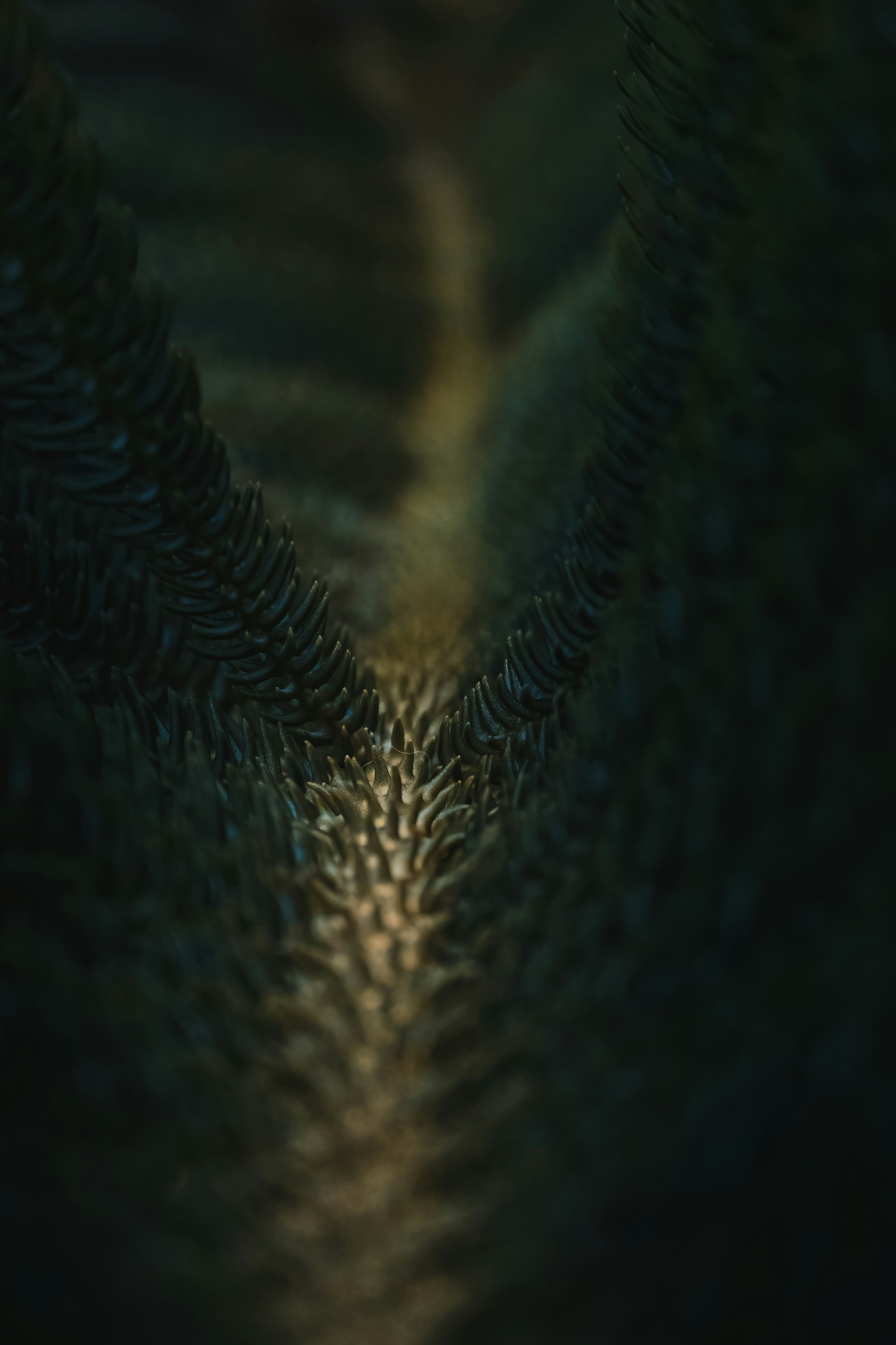 Photo by pedroj_conesa