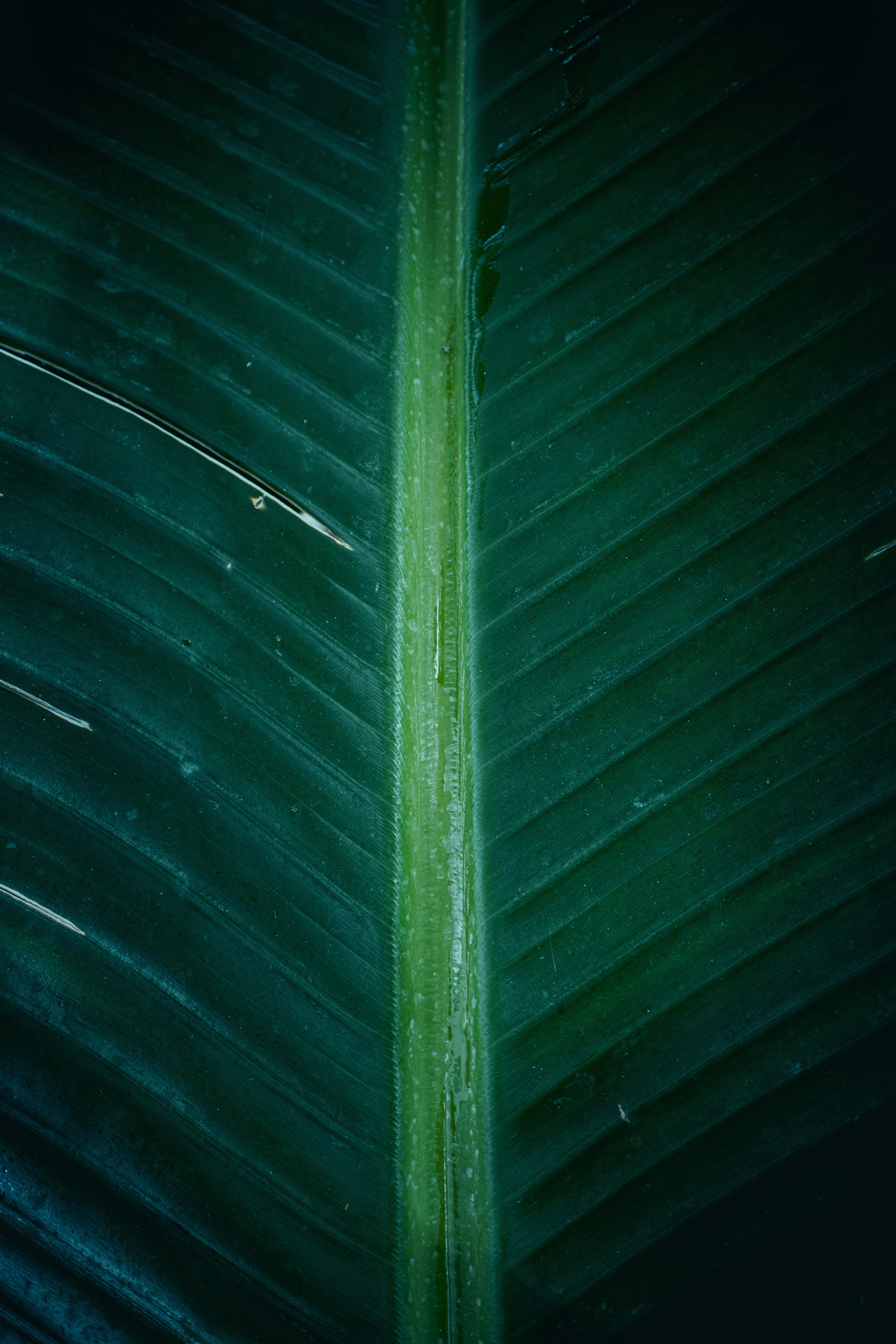 Photo by pedroj_conesa