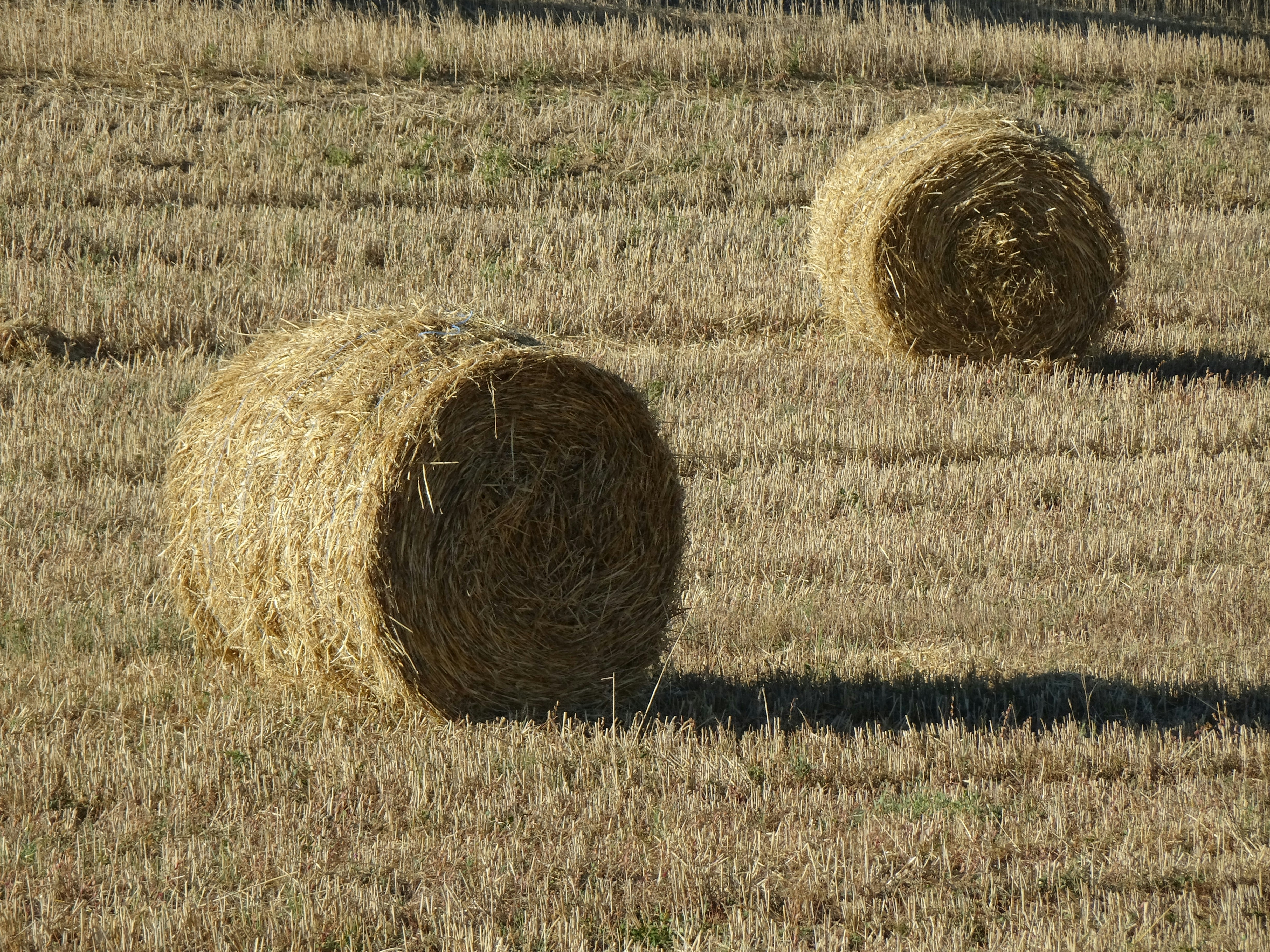 Photo by ludovico_06