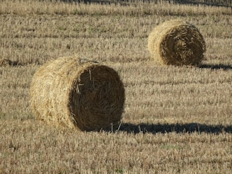 Two bales of hay sitting in a field