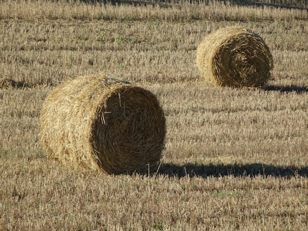 Two bales of hay sitting in a field