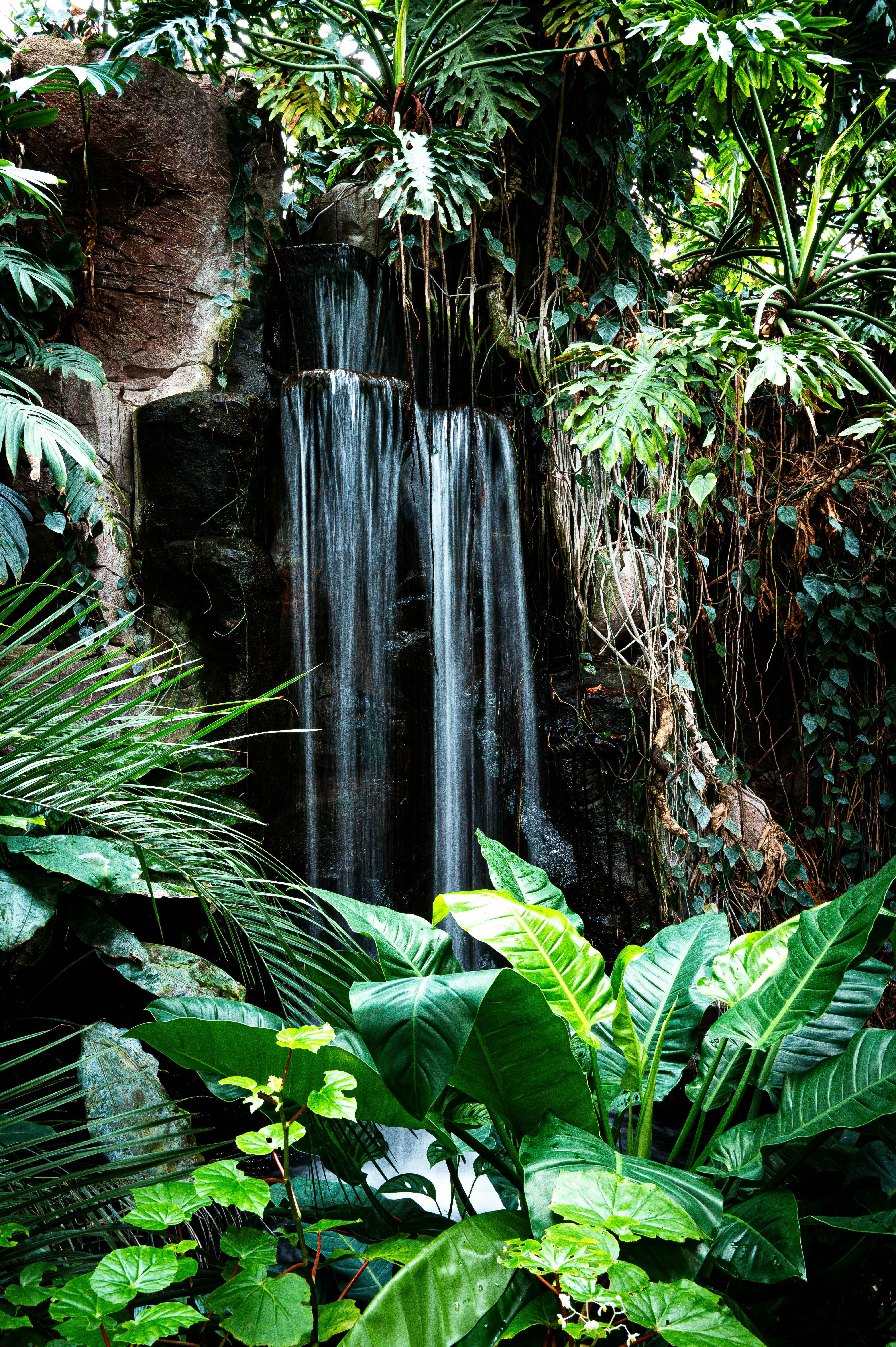 Photo by graffitigaze