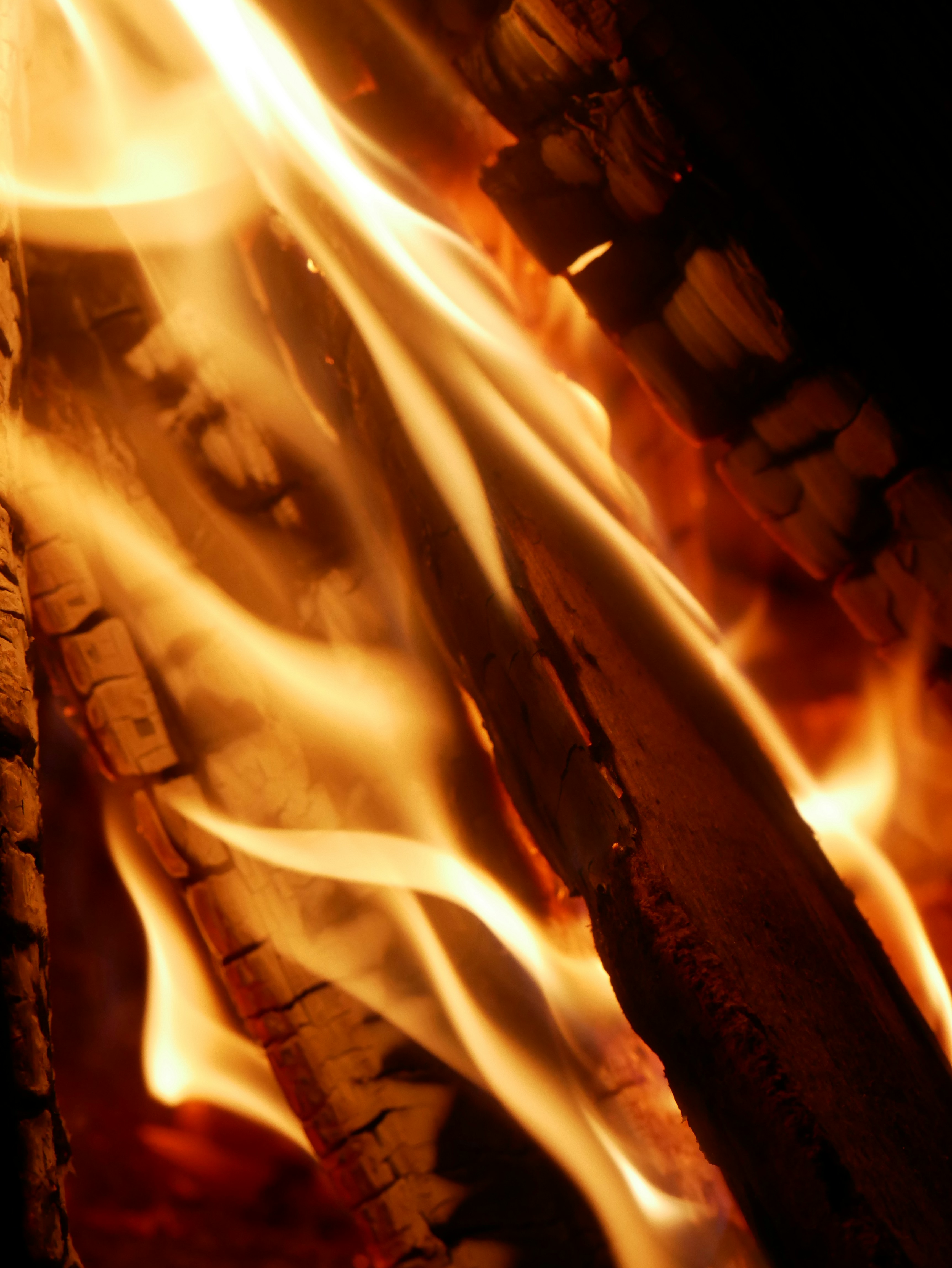 Photo by johanse_photos