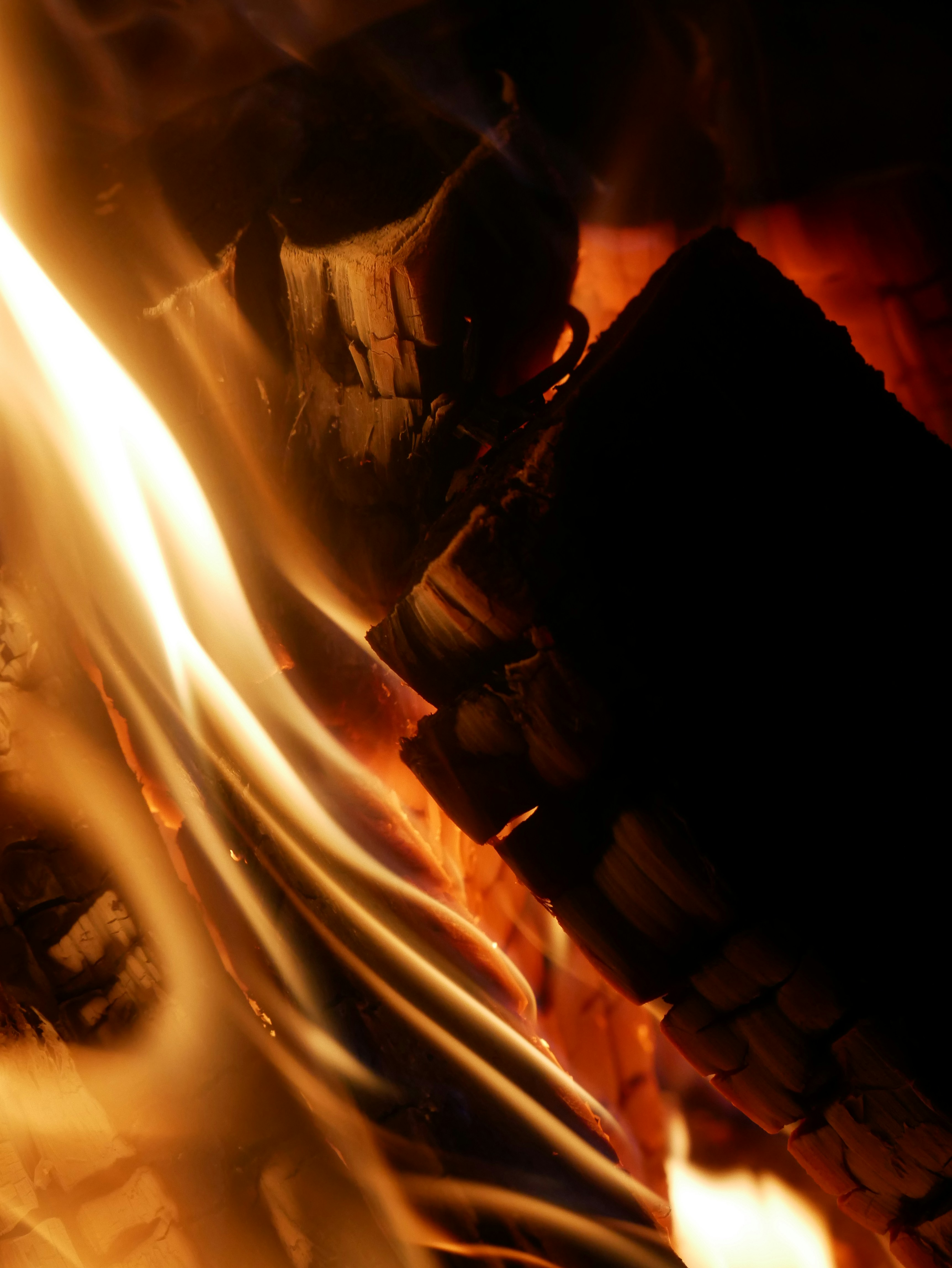 Photo by johanse_photos