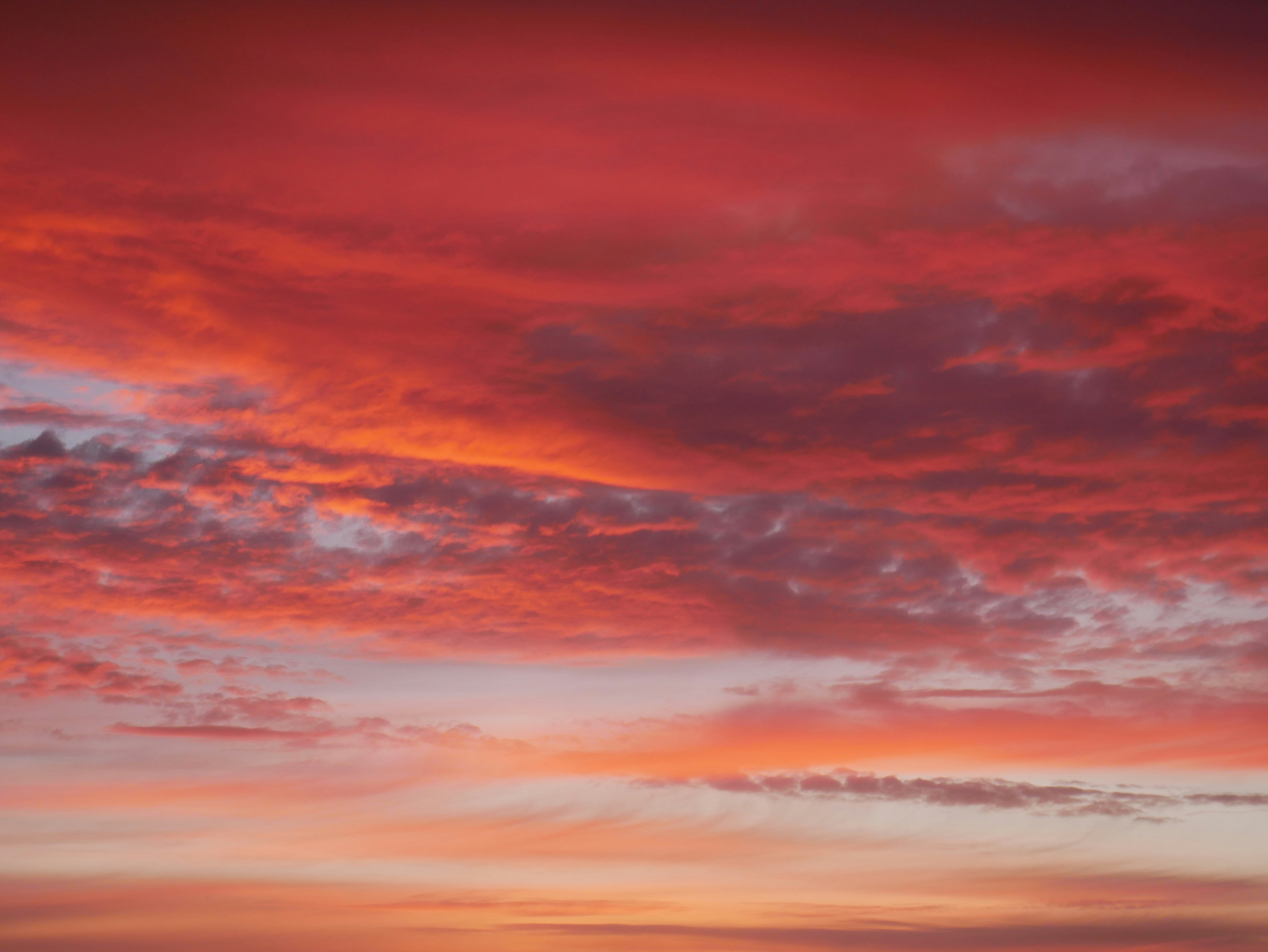 Photo by johanse_photos