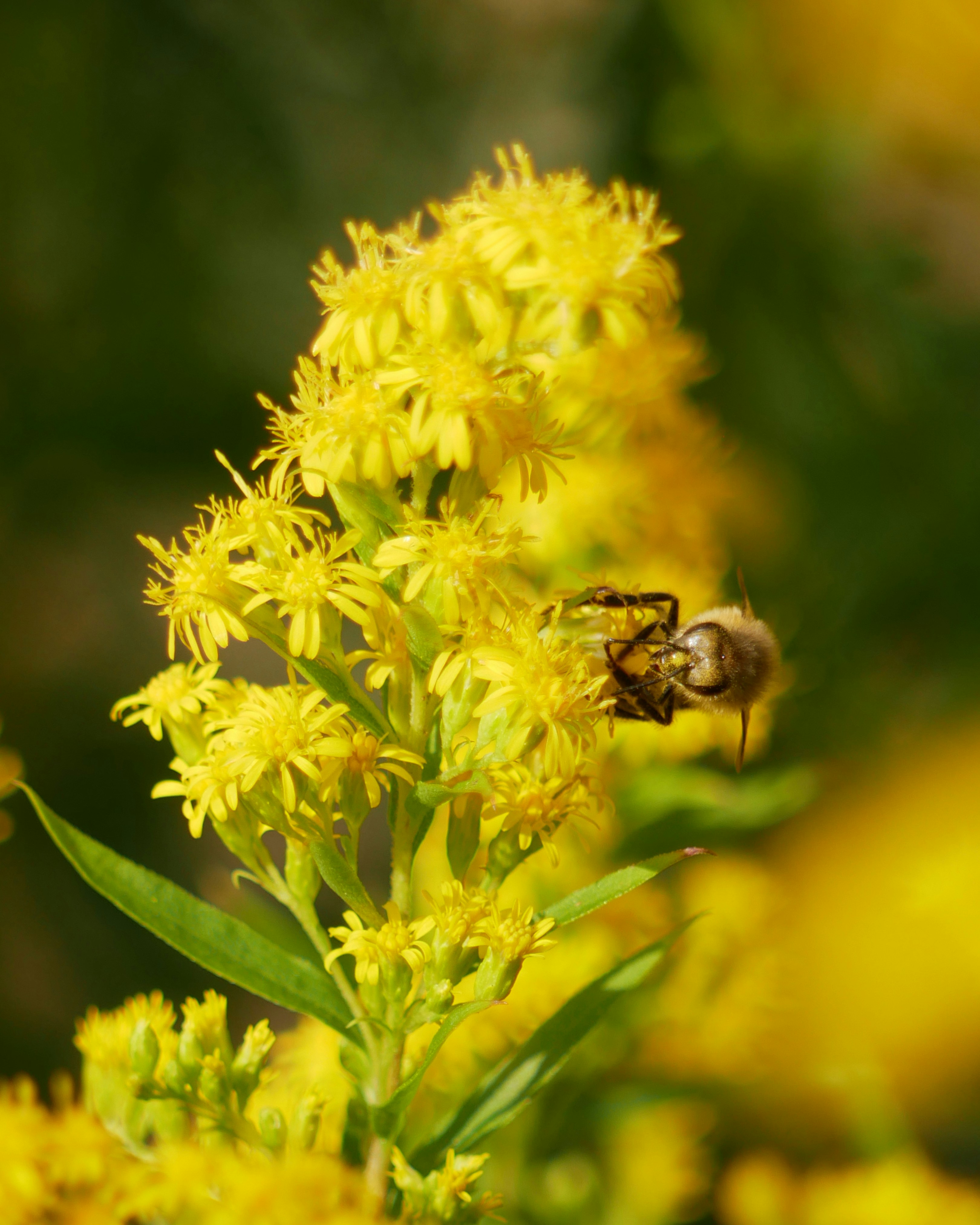 Photo by johanse_photos